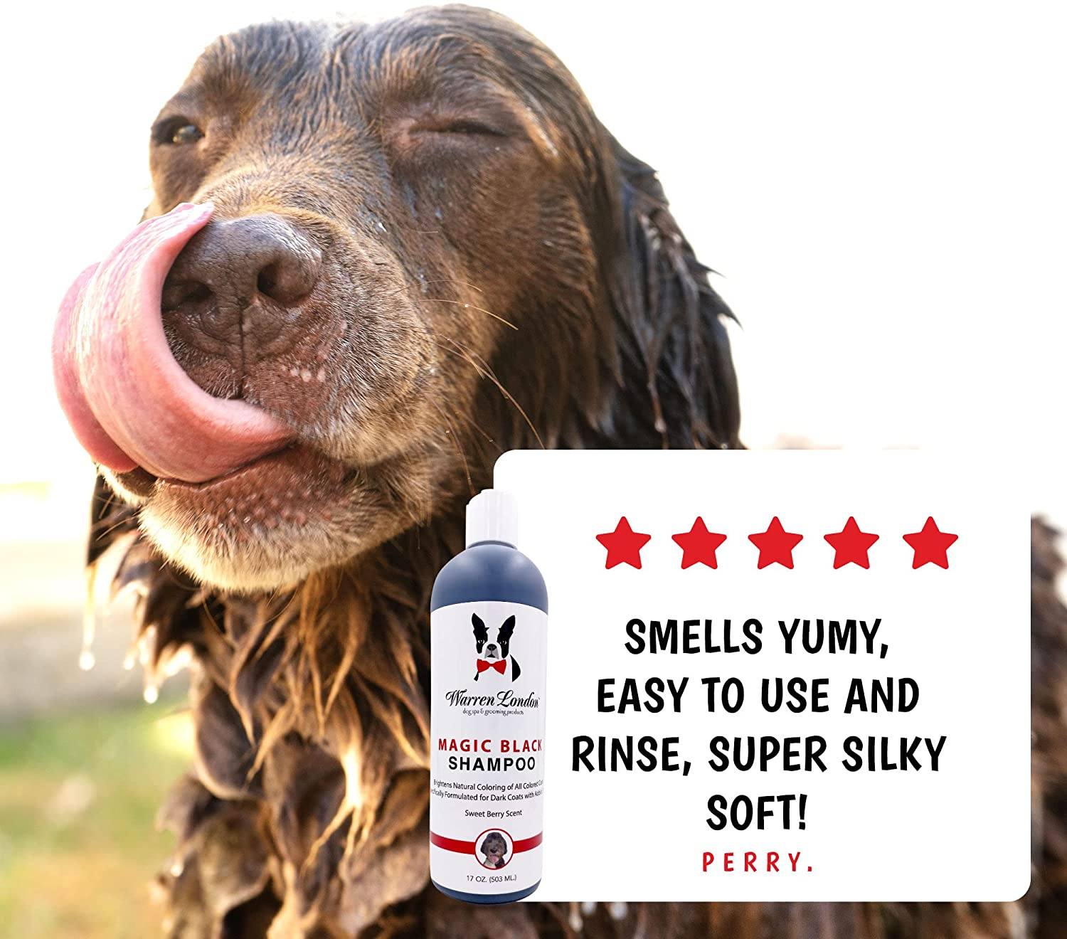 Magic Black Brightening Dog Shampoo - Image 2