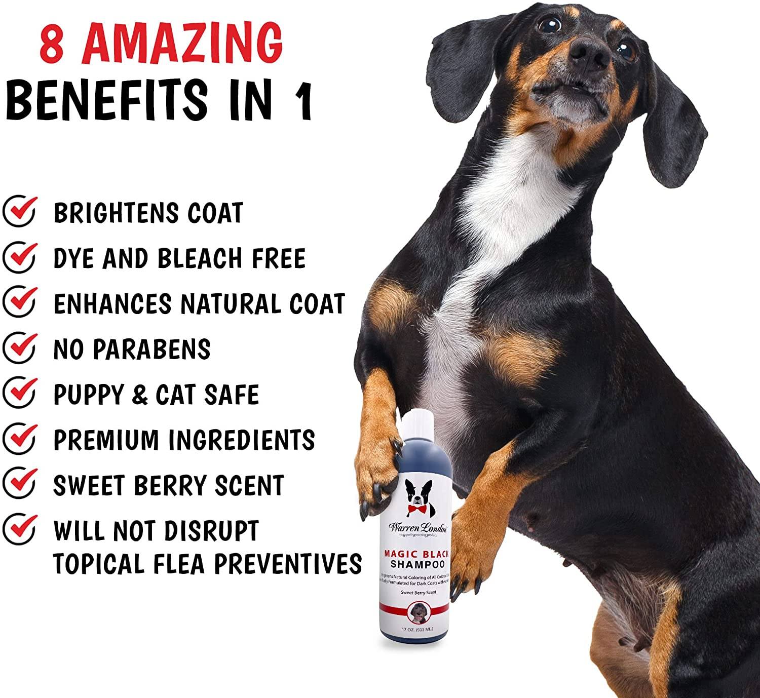 Magic Black Brightening Dog Shampoo - Image 5