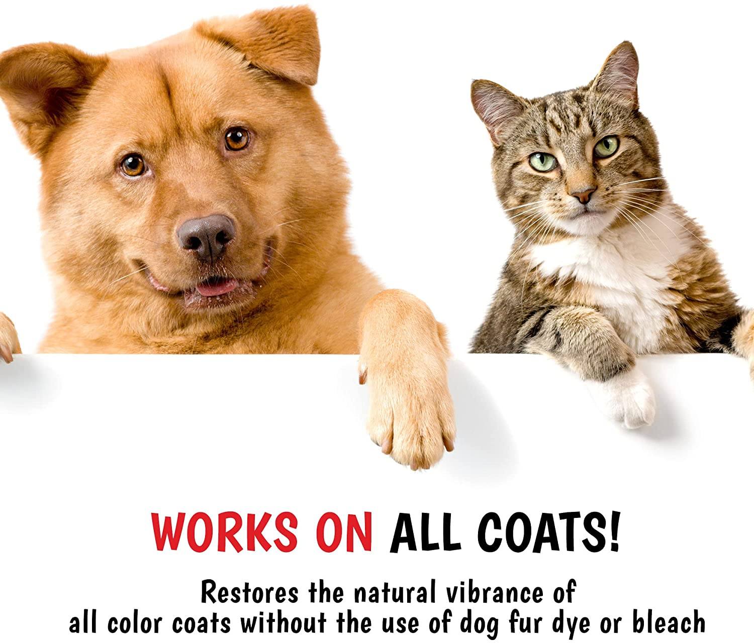 Magic Black Brightening Dog Shampoo - Image 6