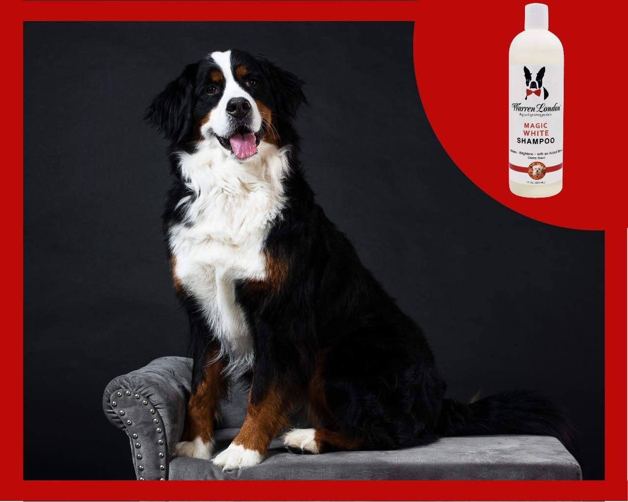 Magic White Brightening Dog Shampoo - Cherry Scented - 17oz - Image 14