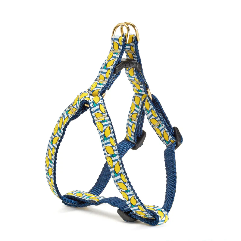 Up Country Make Lemonade Dog Adjustable Dog Harness