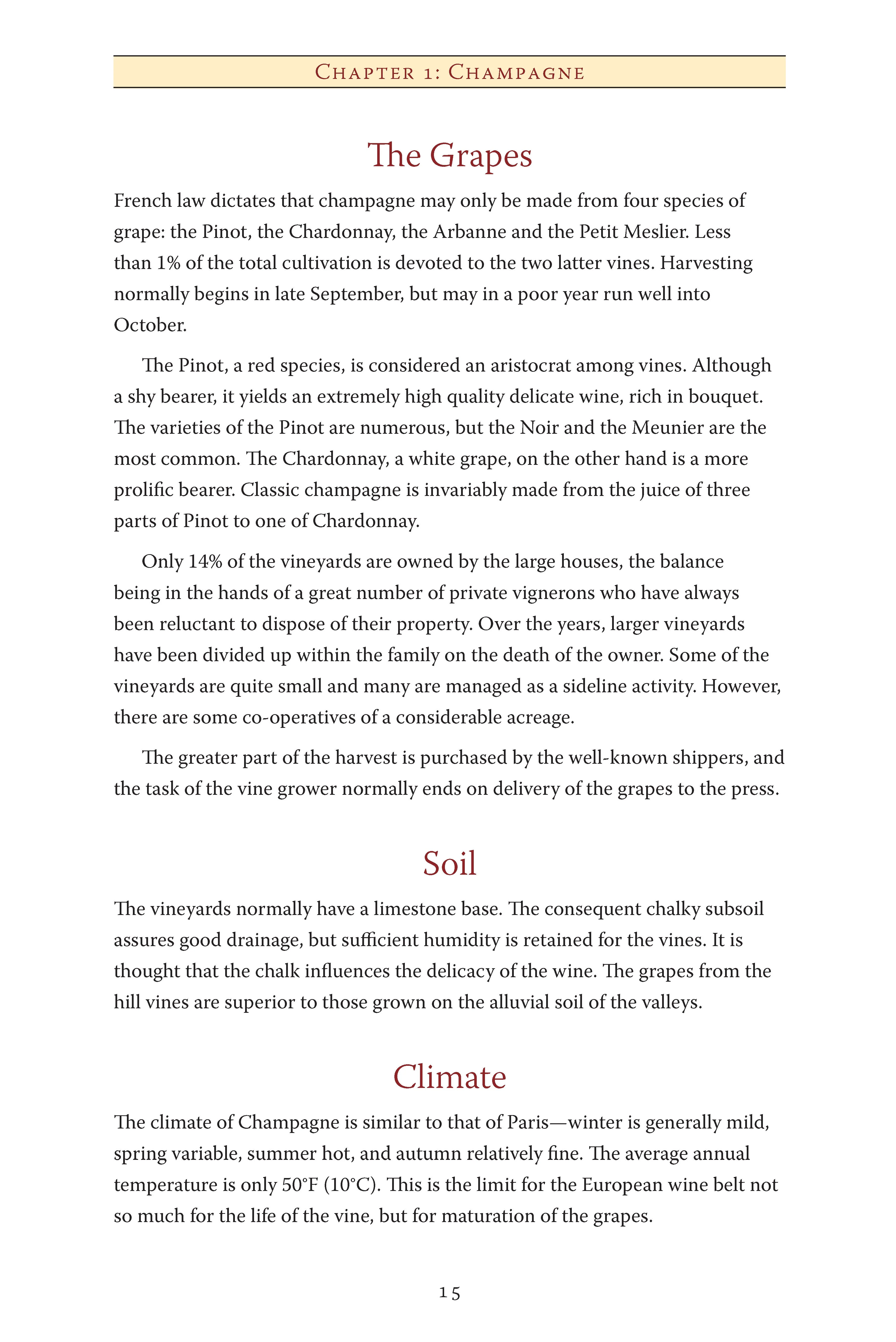 Making Sparkling Wines at Home - Image 2