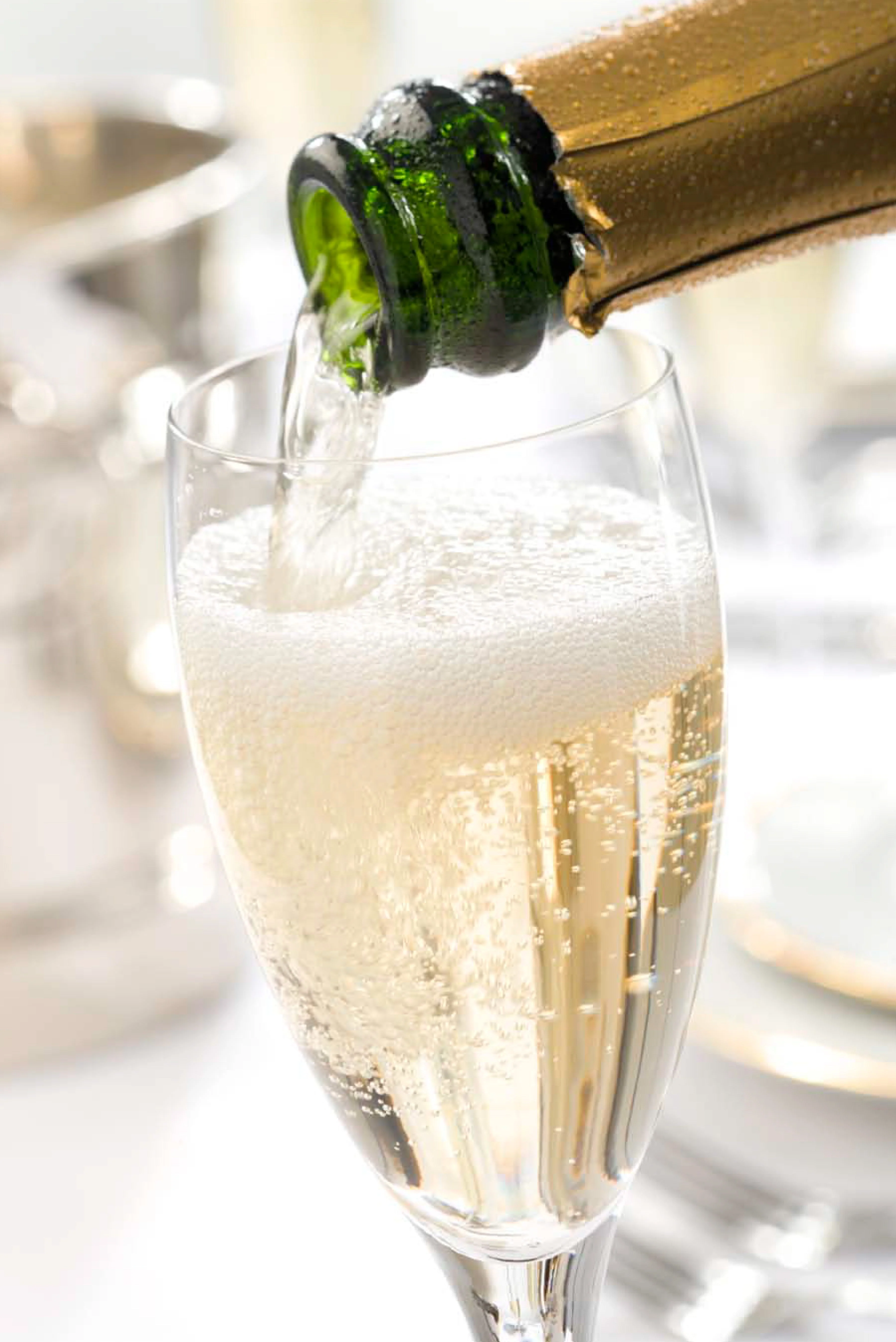 Making Sparkling Wines at Home - Image 6