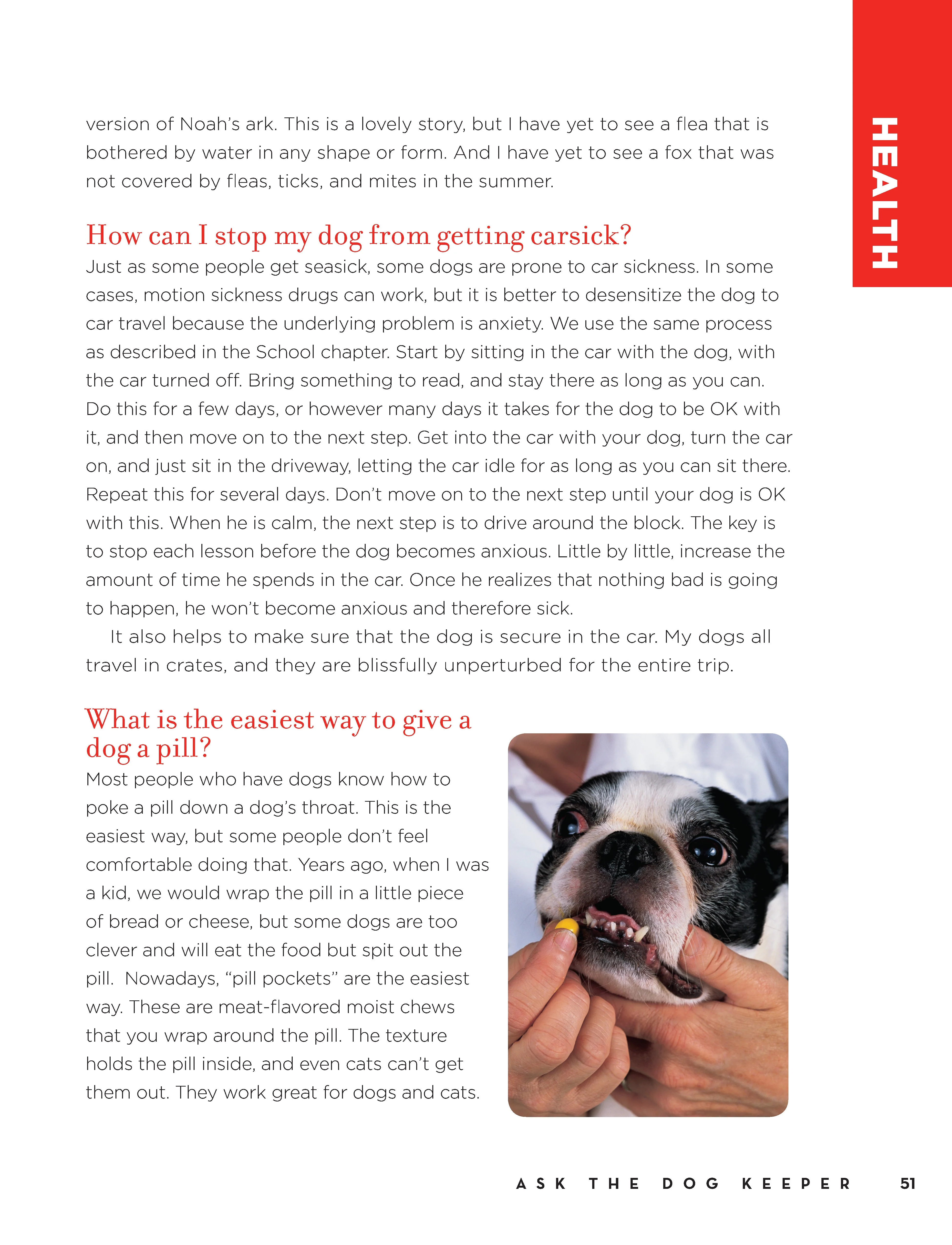 Marc Morrone's Ask the Dog Keeper - Image 5