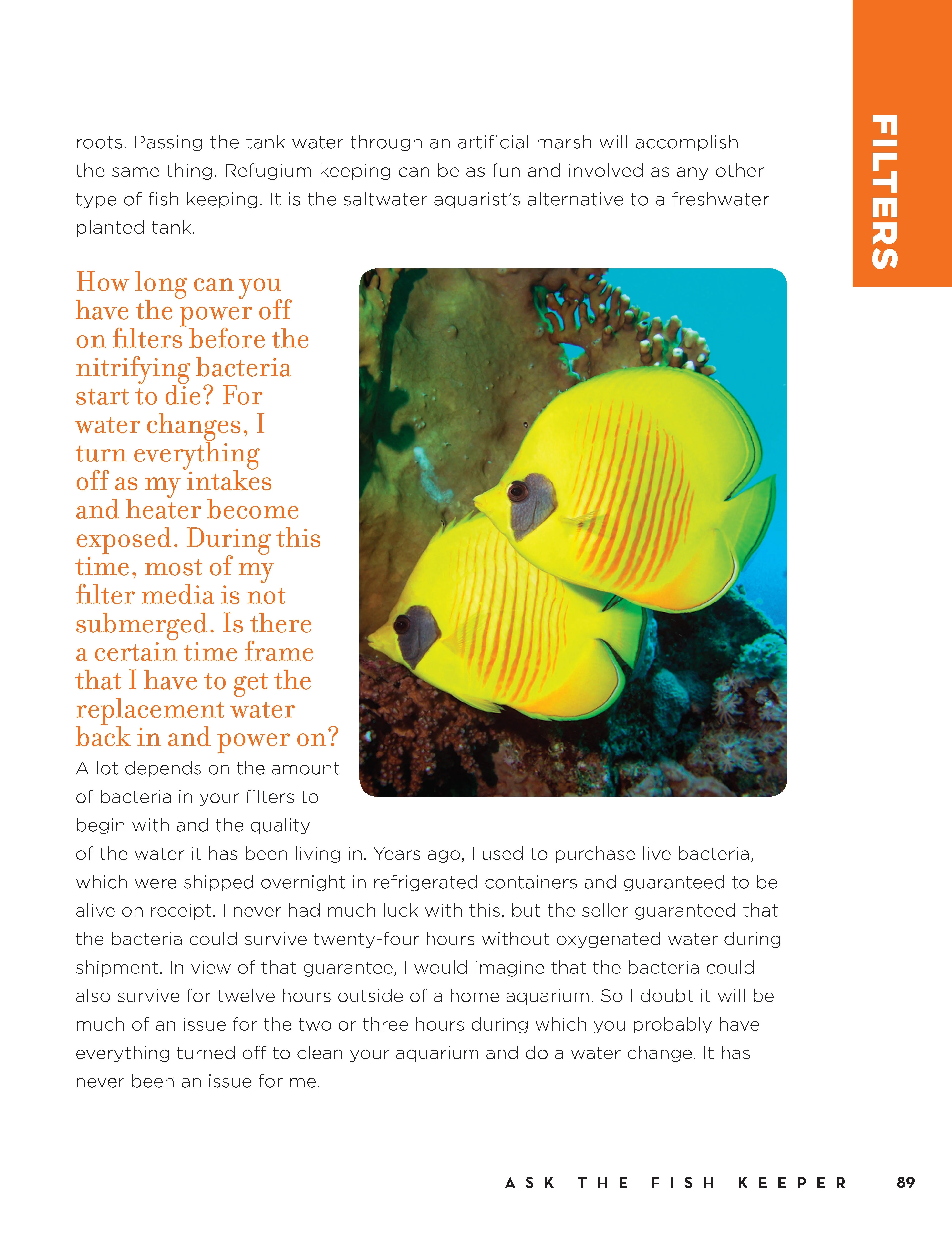 Marc Morrone's Ask the Fish Keeper - Image 3
