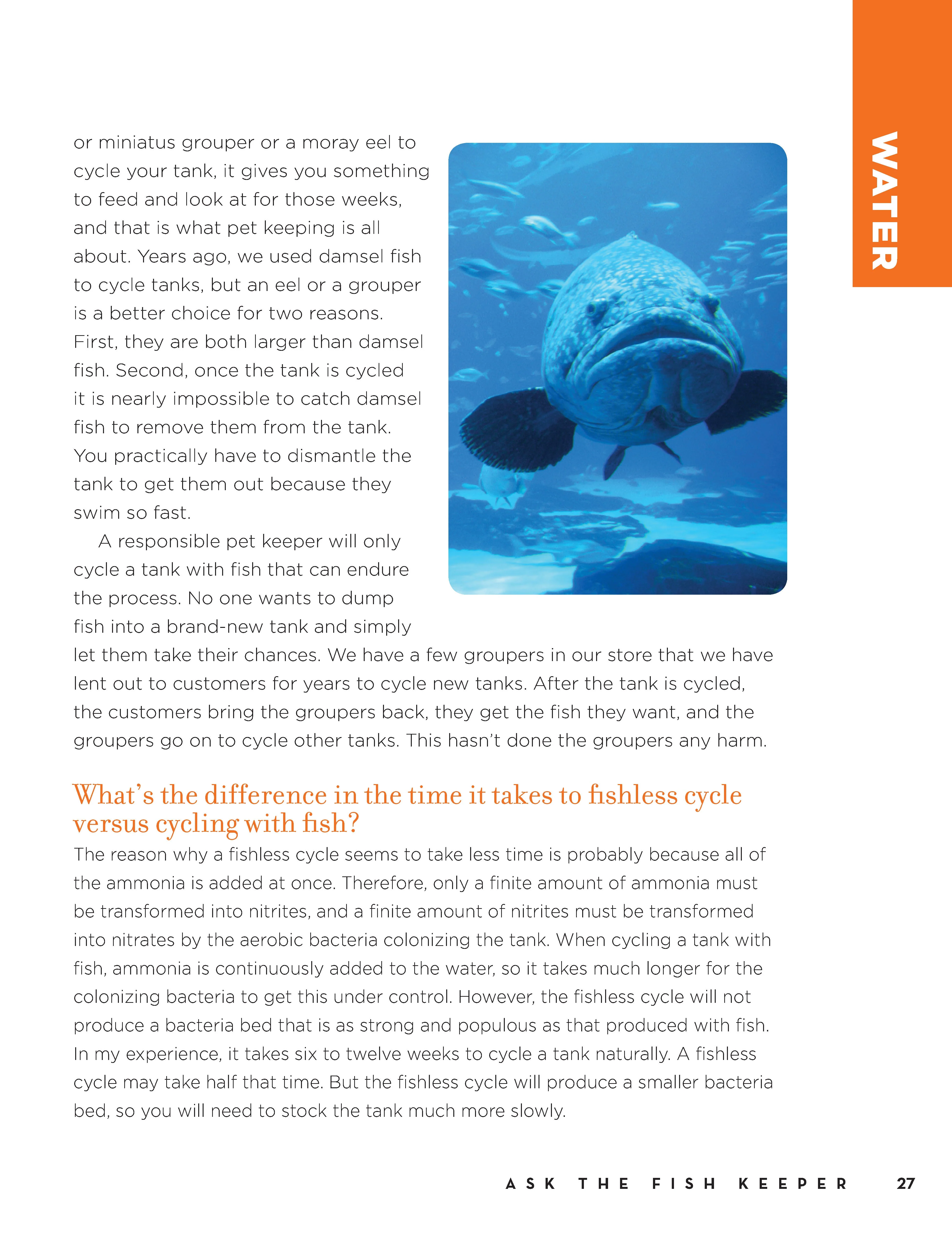 Marc Morrone's Ask the Fish Keeper - Image 4