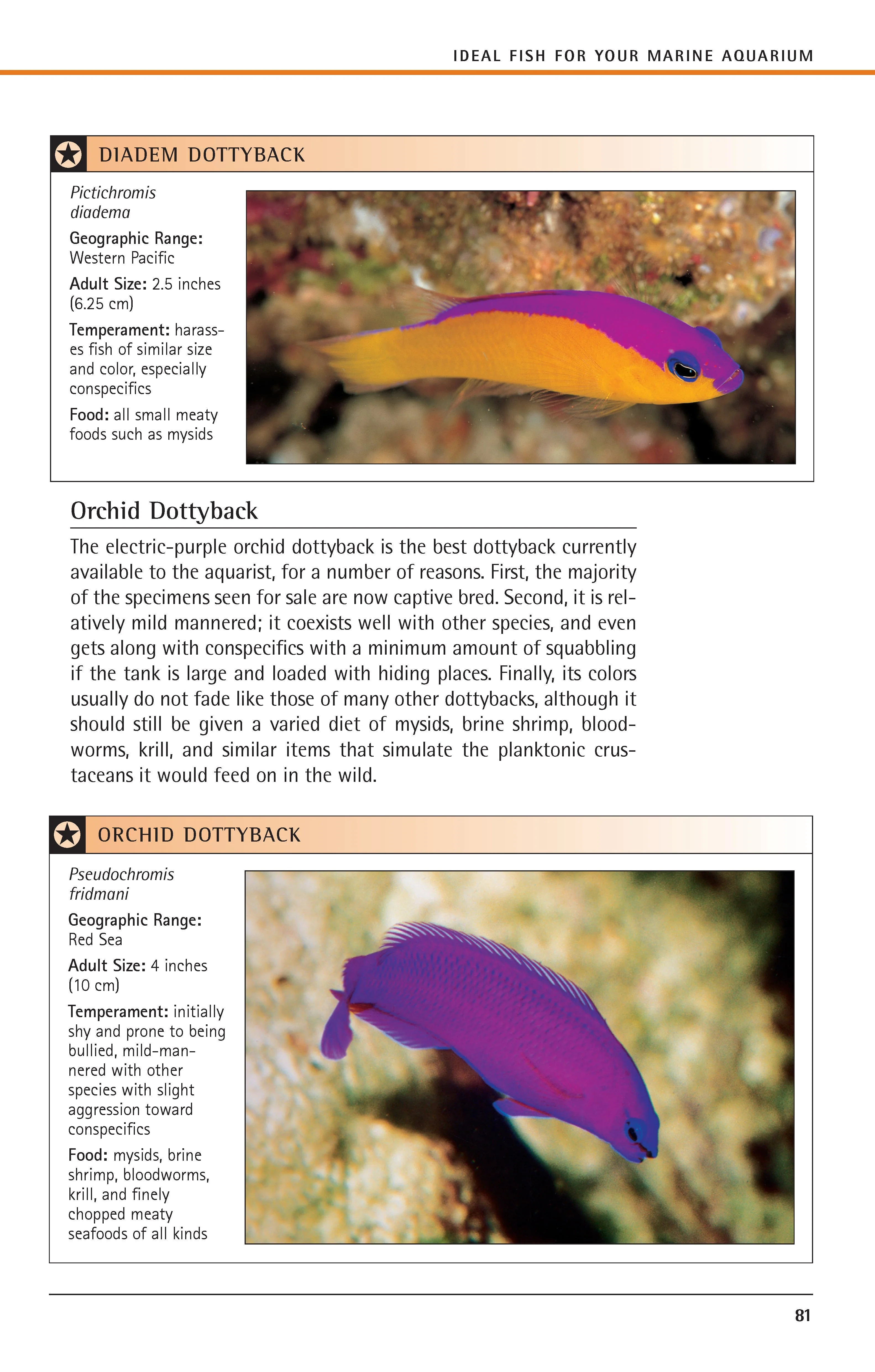 Marine Aquariums - Image 6