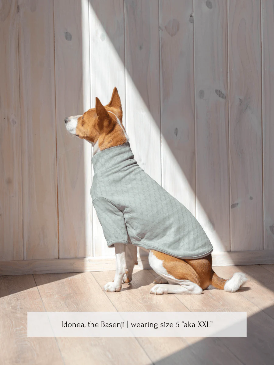 Marlowe Pet - Image 7
