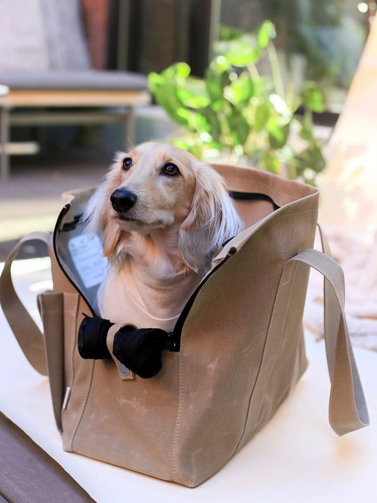 Marlowe Pet Carrier Bag - Image 7