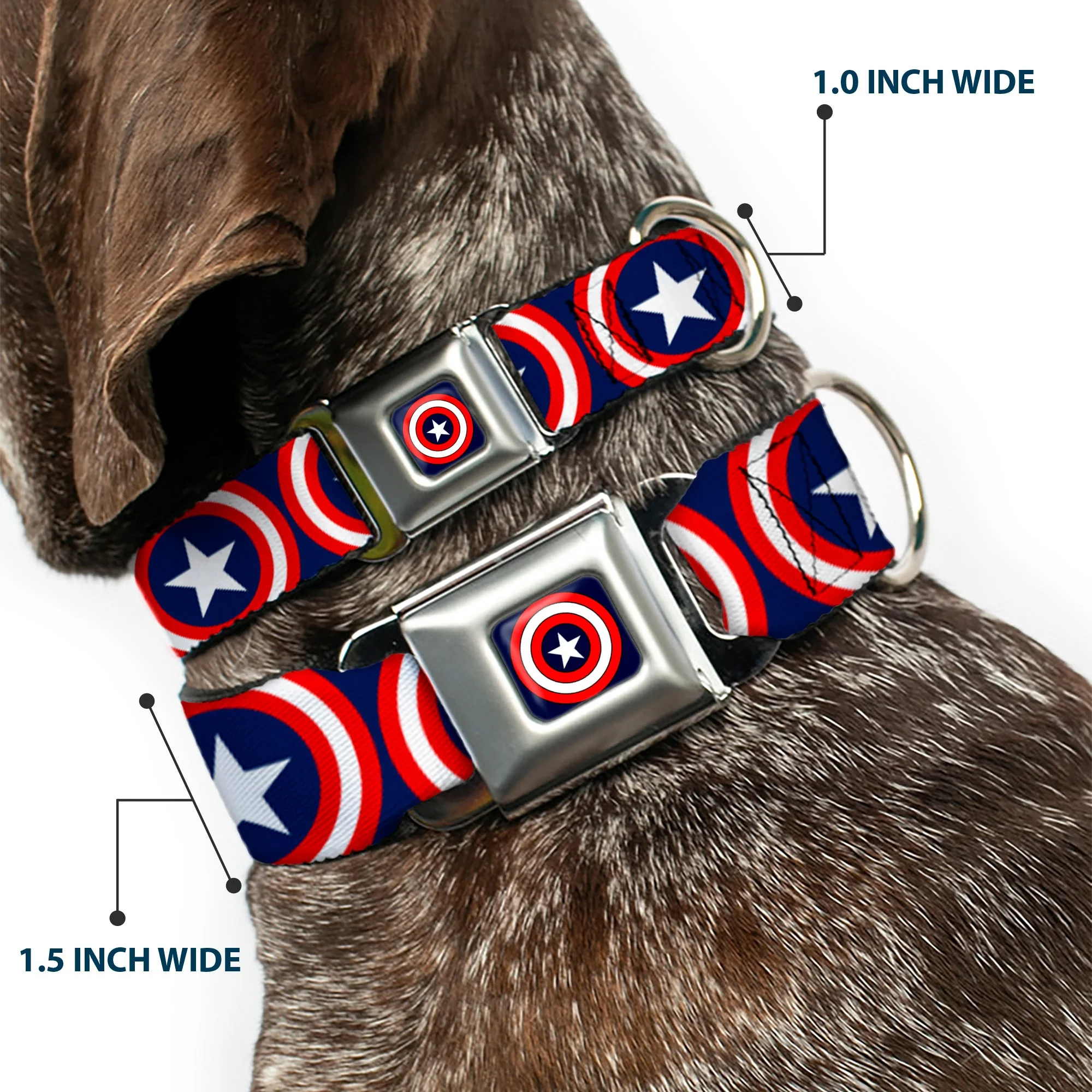 MARVEL COMICS Captain America Shield Full Color Navy Seatbelt Buckle Collar - Captain America Shield Repeat Navy - Image 2