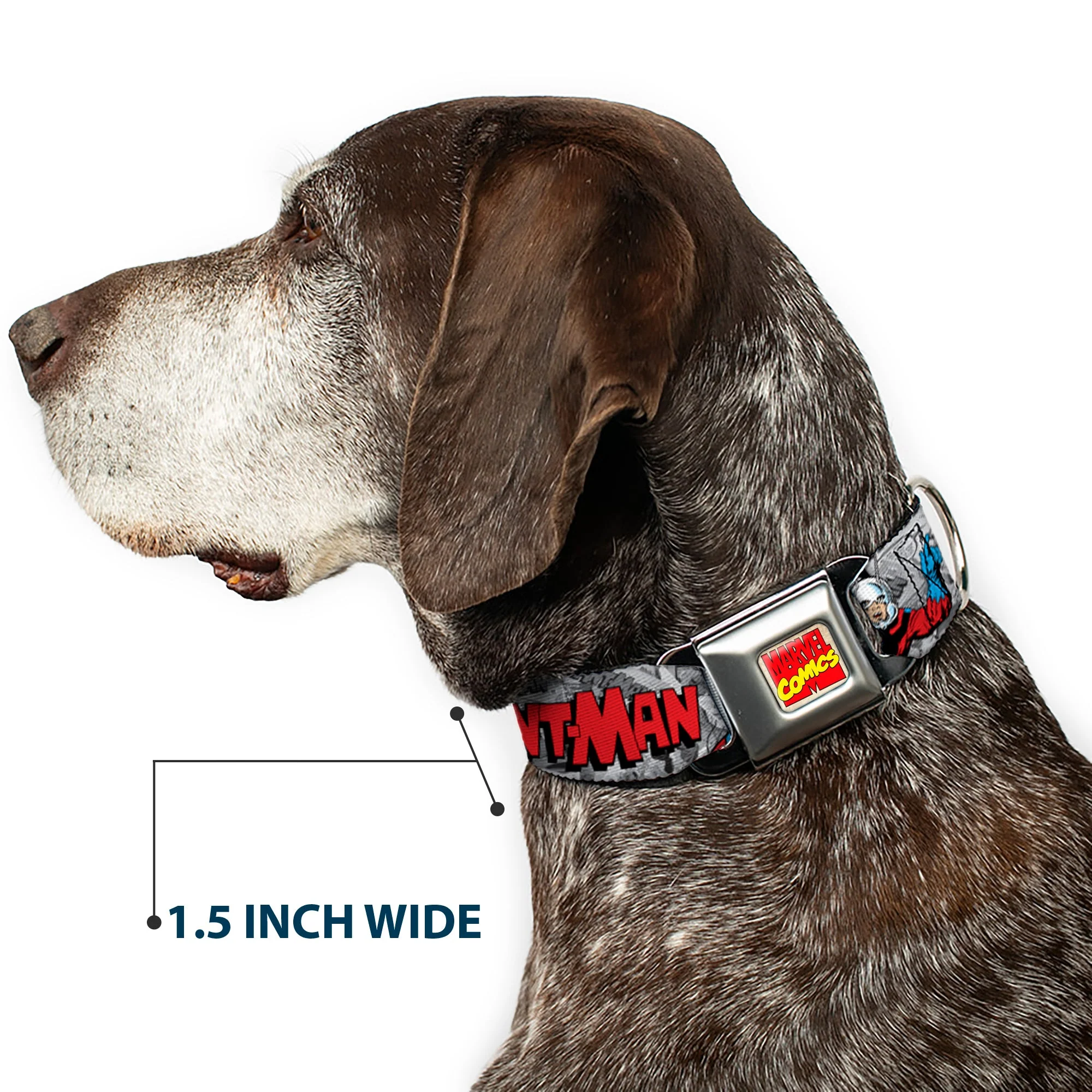 Marvel Comics Logo Full Color Seatbelt Buckle Collar - Classic ANT-MAN 3-Poses/Comic Stacked Grays/Black/Red - Image 7