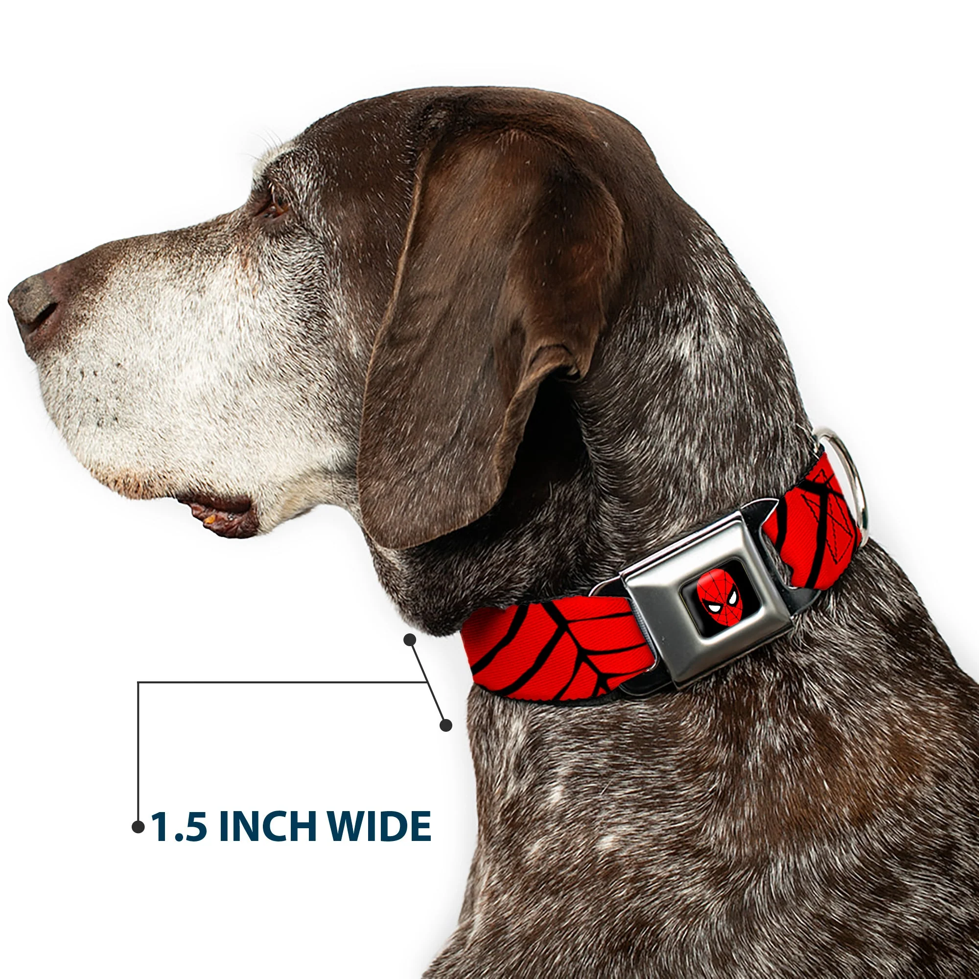 MARVEL UNIVERSE Spider-Man Full Color Seatbelt Buckle Collar - Spiderweb Red/Black - Image 7