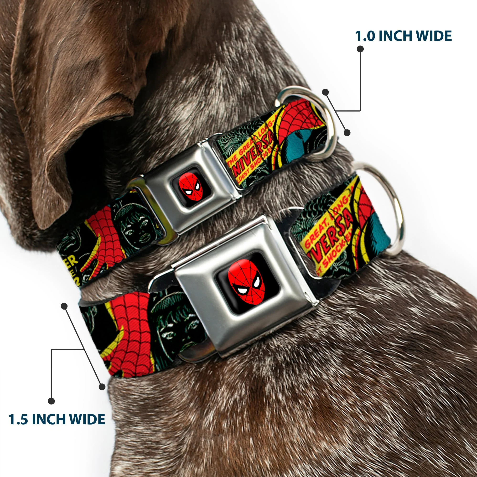 MARVEL UNIVERSE Spider-Man Full Color Seatbelt Buckle Collar - THE AMAZING SPIDER-MAN 100th ANNIVERSARY Cover - Image 2