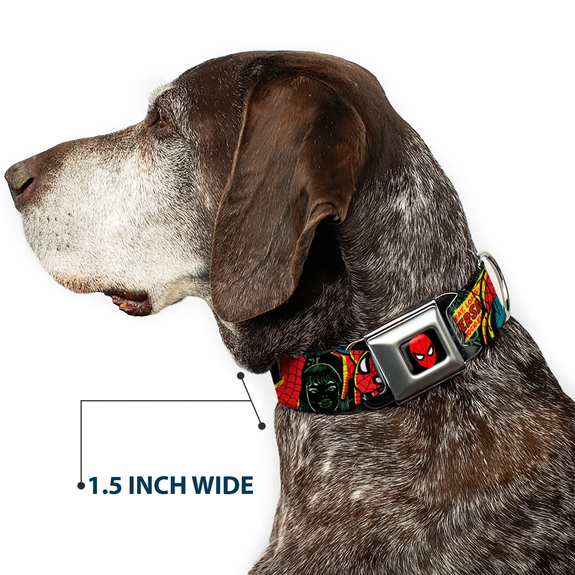 MARVEL UNIVERSE Spider-Man Full Color Seatbelt Buckle Collar - THE AMAZING SPIDER-MAN 100th ANNIVERSARY Cover - Image 7