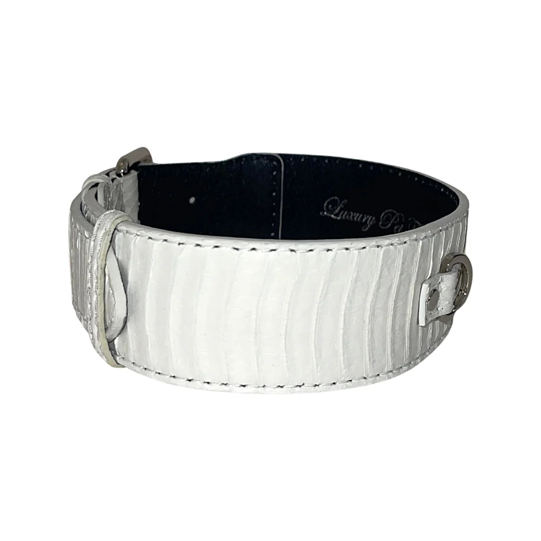 Matte White Snake Classic Collar With Silver Classic Hardware - Image 2