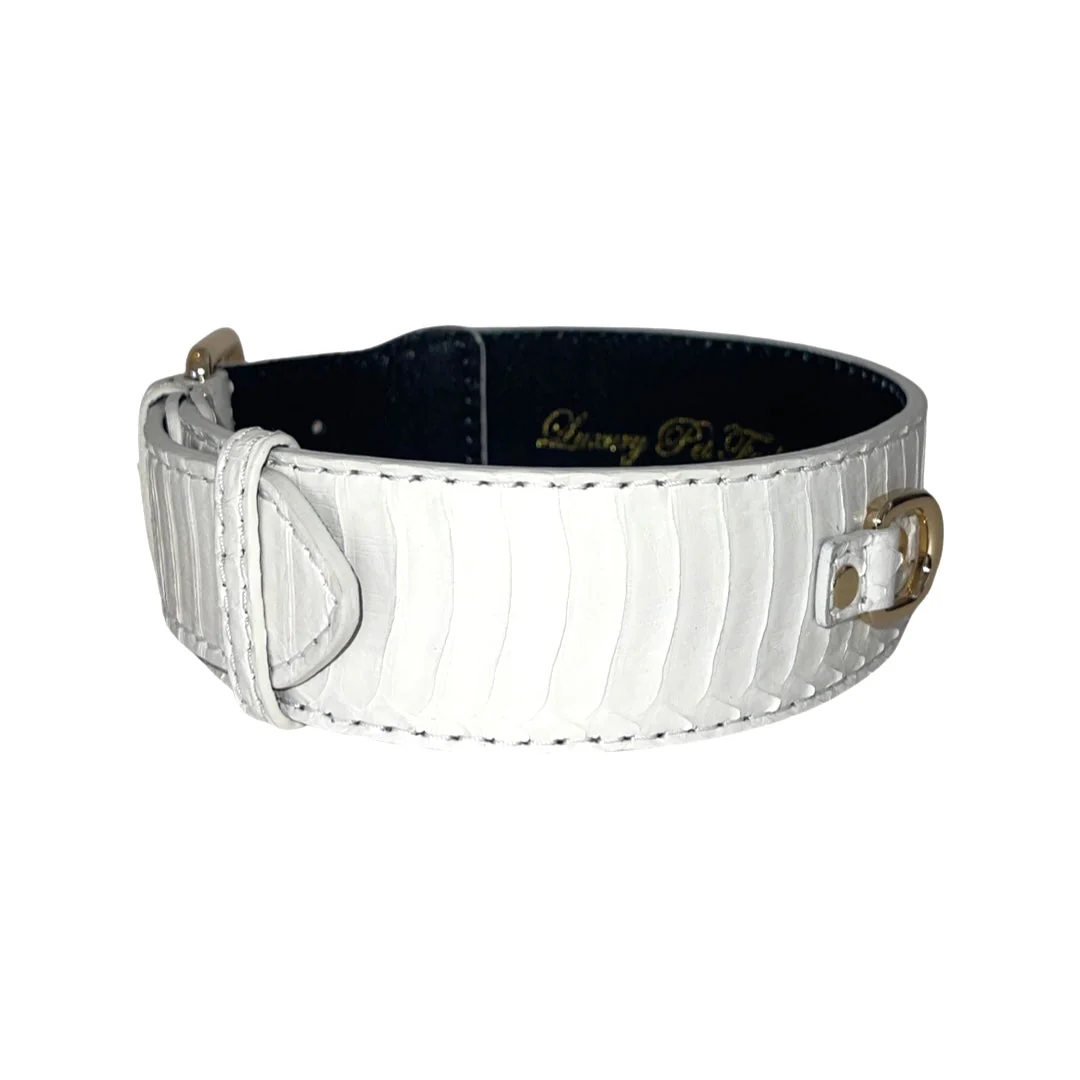 Matte white Snake With Gold Classic Hardware - Image 3