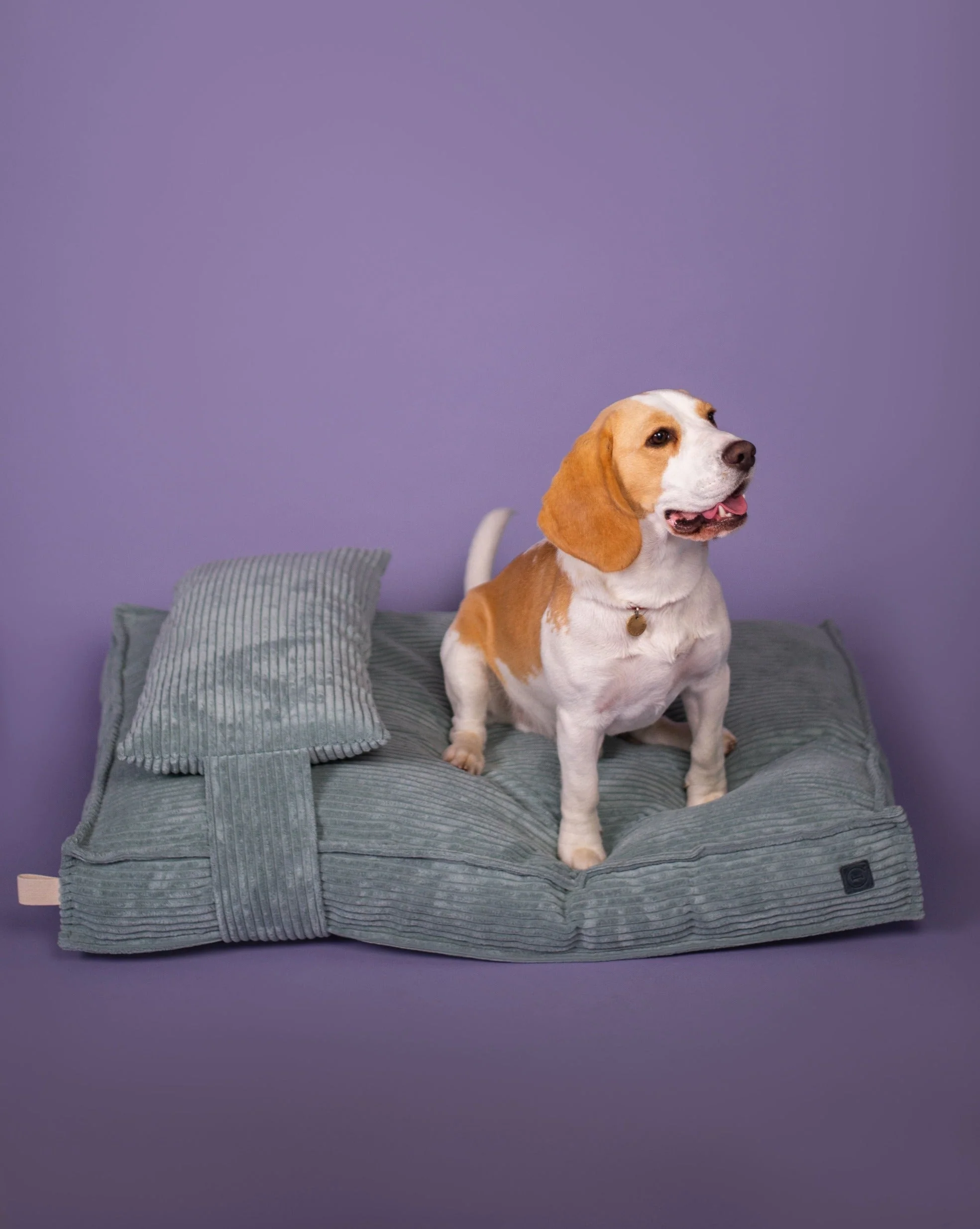 Memory Foam Dog Bed - Image 14