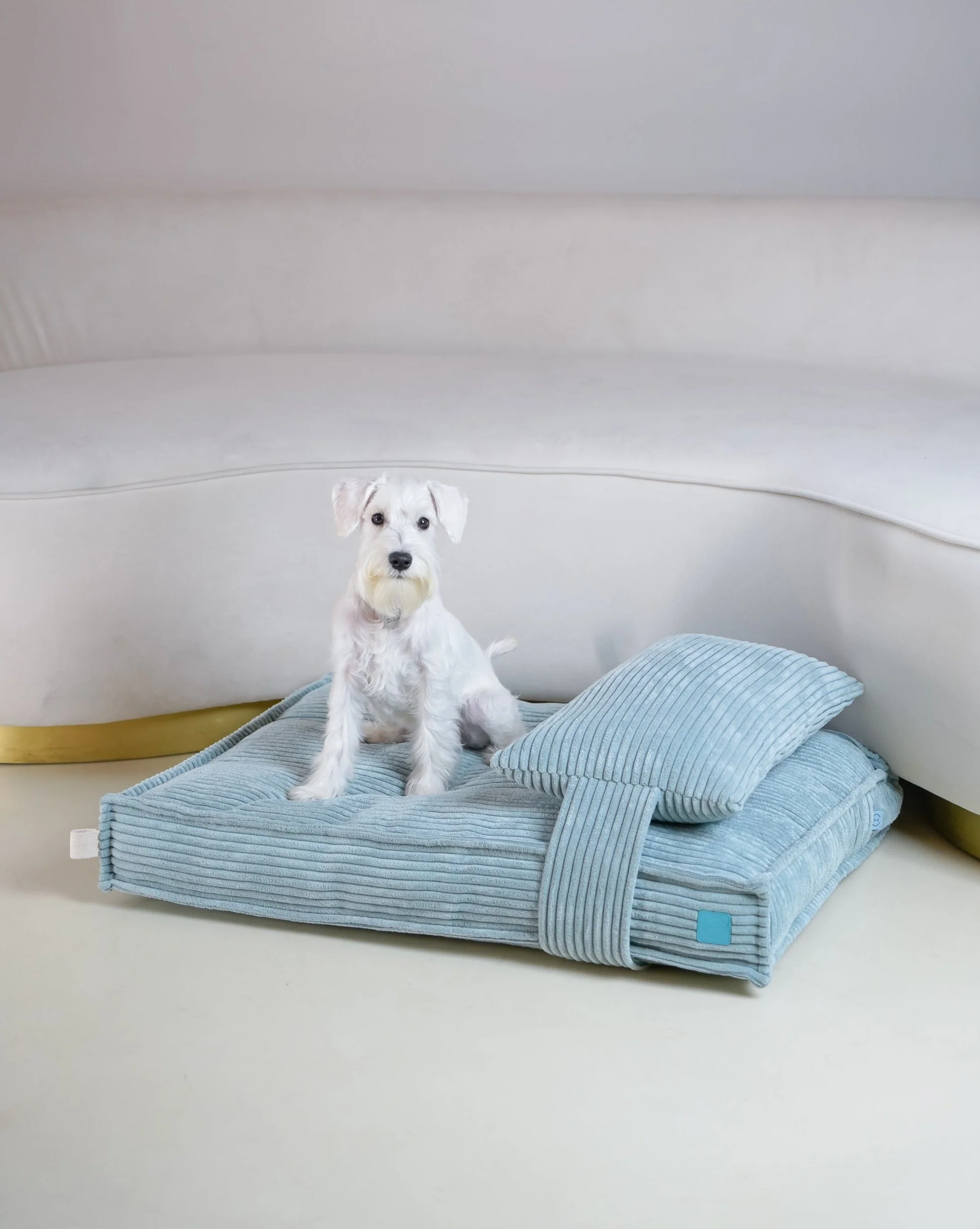 Memory Foam Dog Bed - Image 19