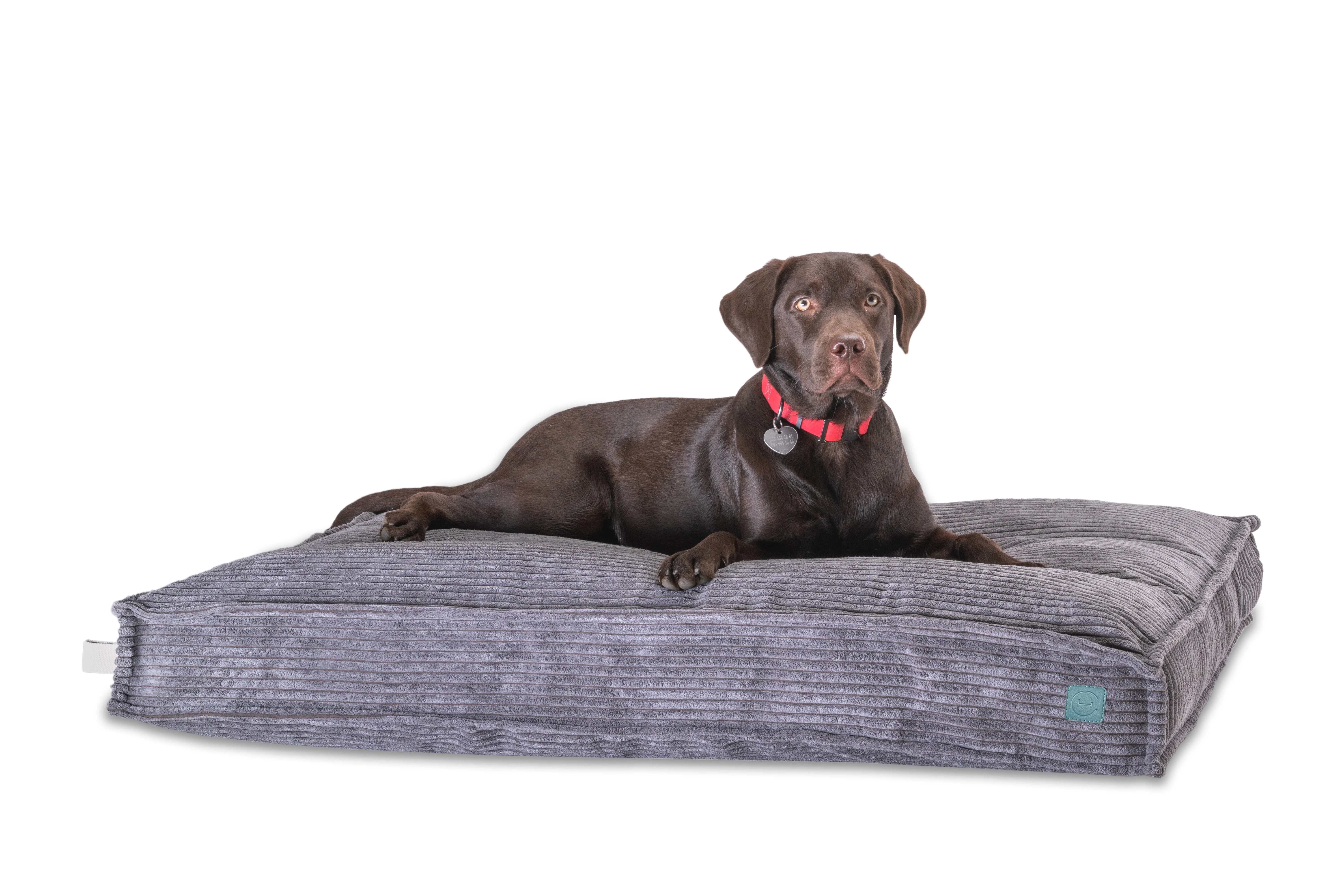 Memory Foam Dog Bed - Image 27