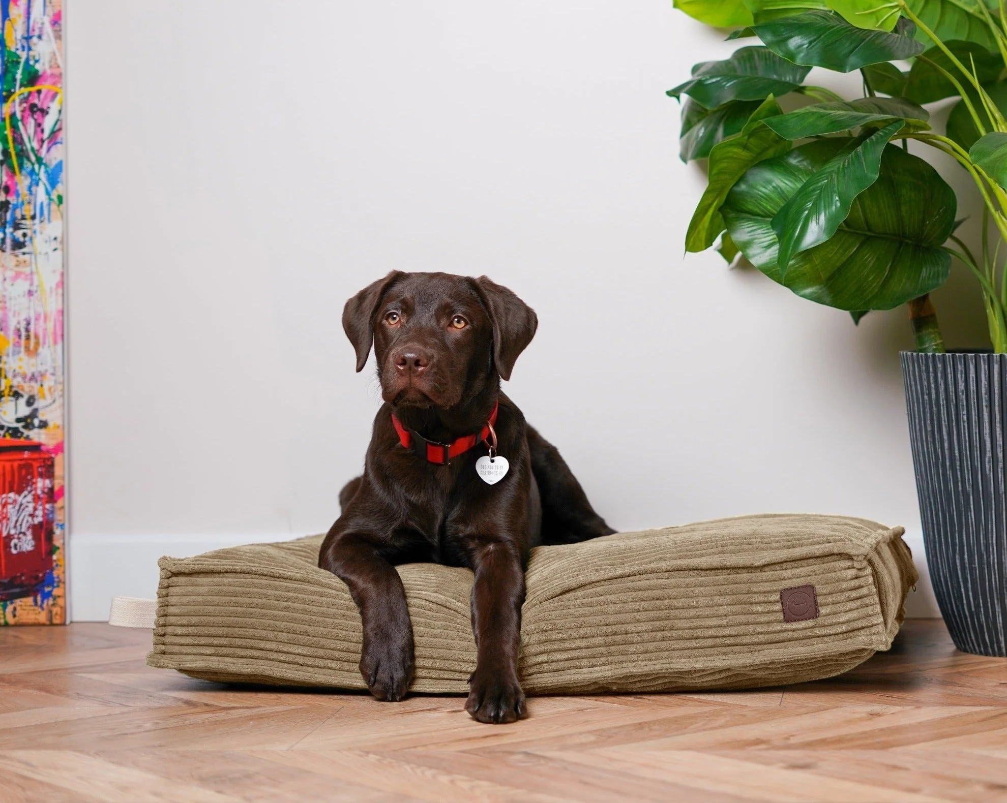 Memory Foam Dog Bed - Image 6