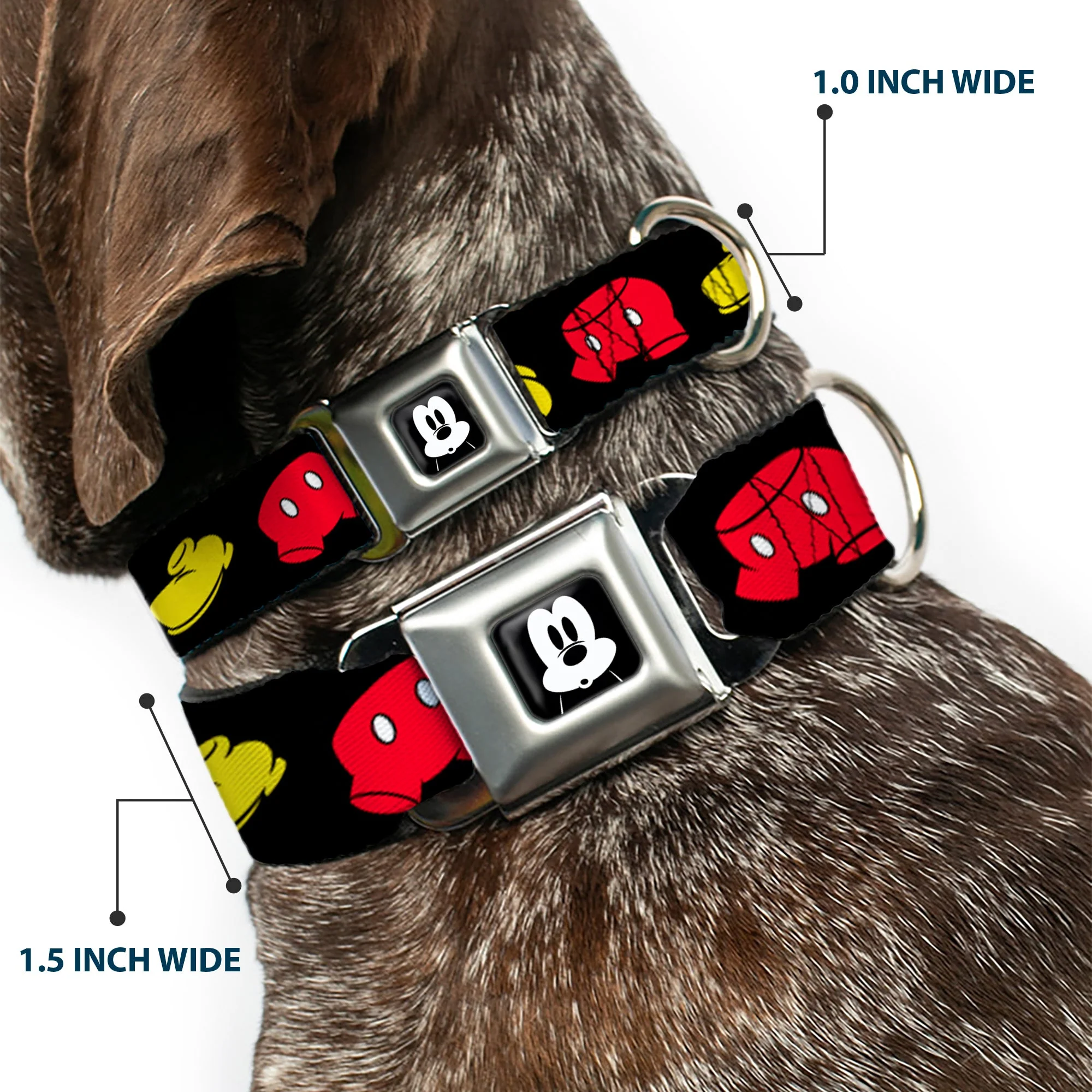 Mickey Mickey Mouse Expression4 Full Color Black/White Seatbelt Buckle Collar - Mickey Mouse Shorts and Shoes Black/Red/Yellow - Image 2