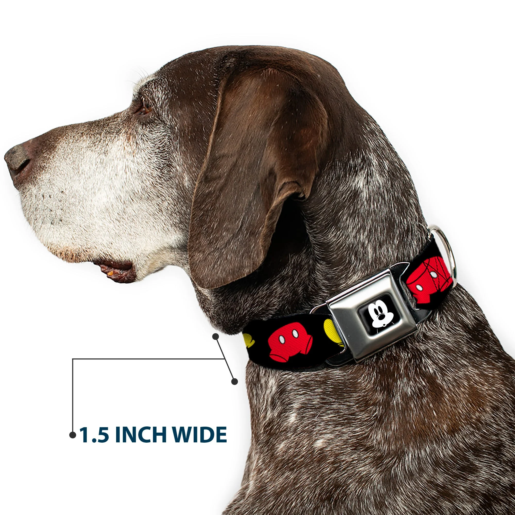 Mickey Mickey Mouse Expression4 Full Color Black/White Seatbelt Buckle Collar - Mickey Mouse Shorts and Shoes Black/Red/Yellow - Image 7