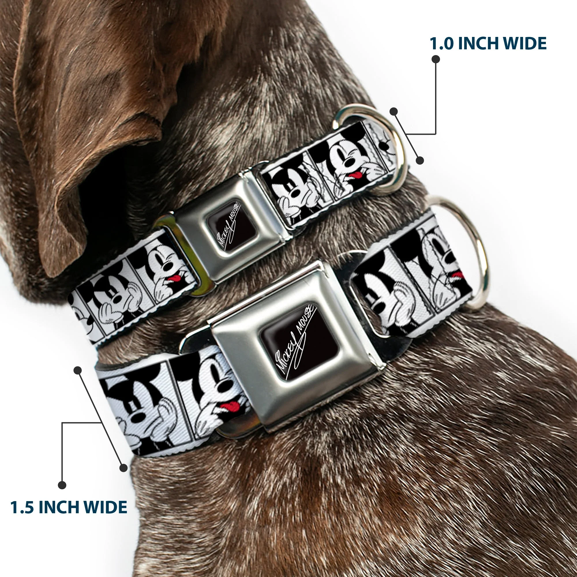 MICKEY MOUSE Autograph Full Color Black/White Seatbelt Buckle Collar - Mickey Mouse Expression Blocks White/Black/Red - Image 2