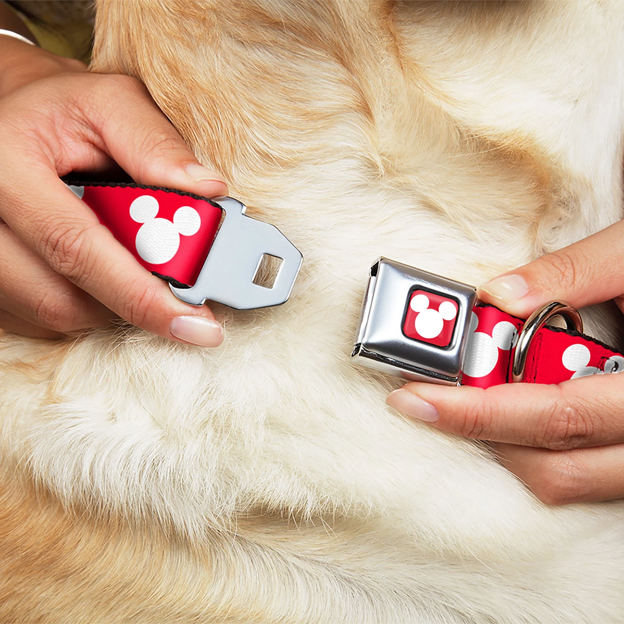Mickey Mouse Ears Icon Full Color Red/White Seatbelt Buckle Collar - Mickey Mouse Ears Icon Red/White - Image 8