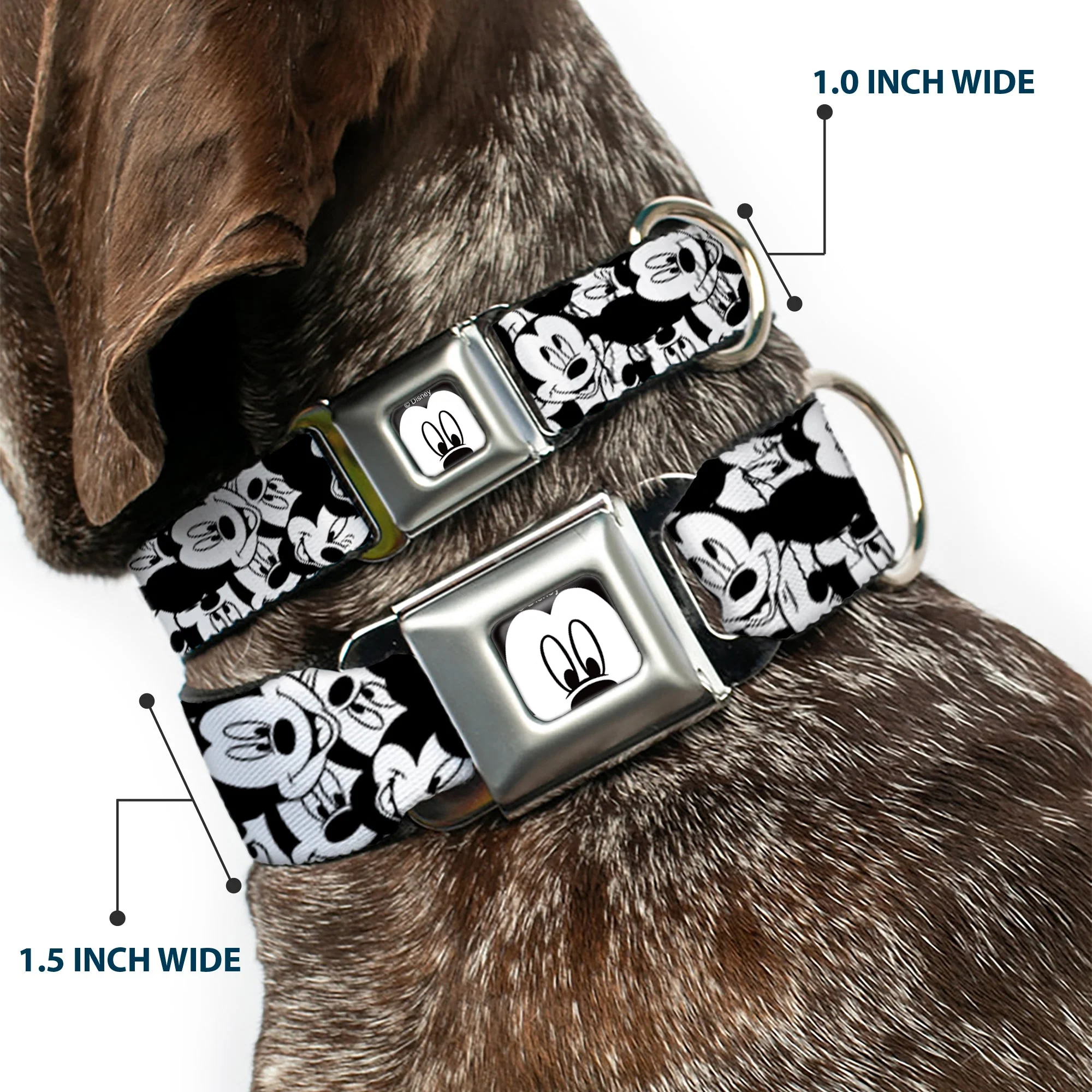 Mickey Mouse Face CLOSE-UP Full Color White Black Seatbelt Buckle Collar - Mickey Mouse Expressions Stacked White/Black - Image 2