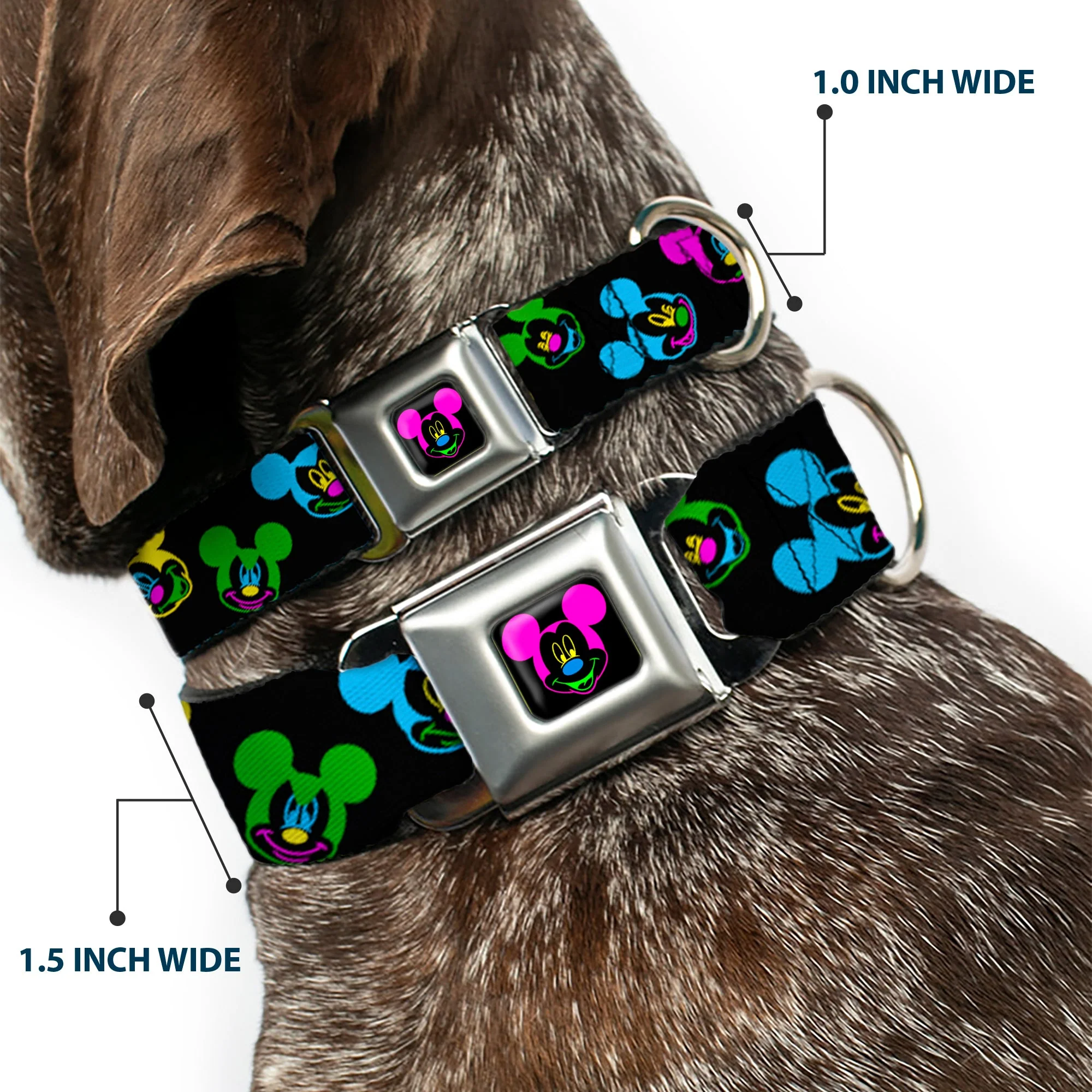 Mickey Mouse Face Full Color Black Multi Neon Seatbelt Buckle Collar - Mickey Mouse Expressions Scattered Black/Multi Neon - Image 2