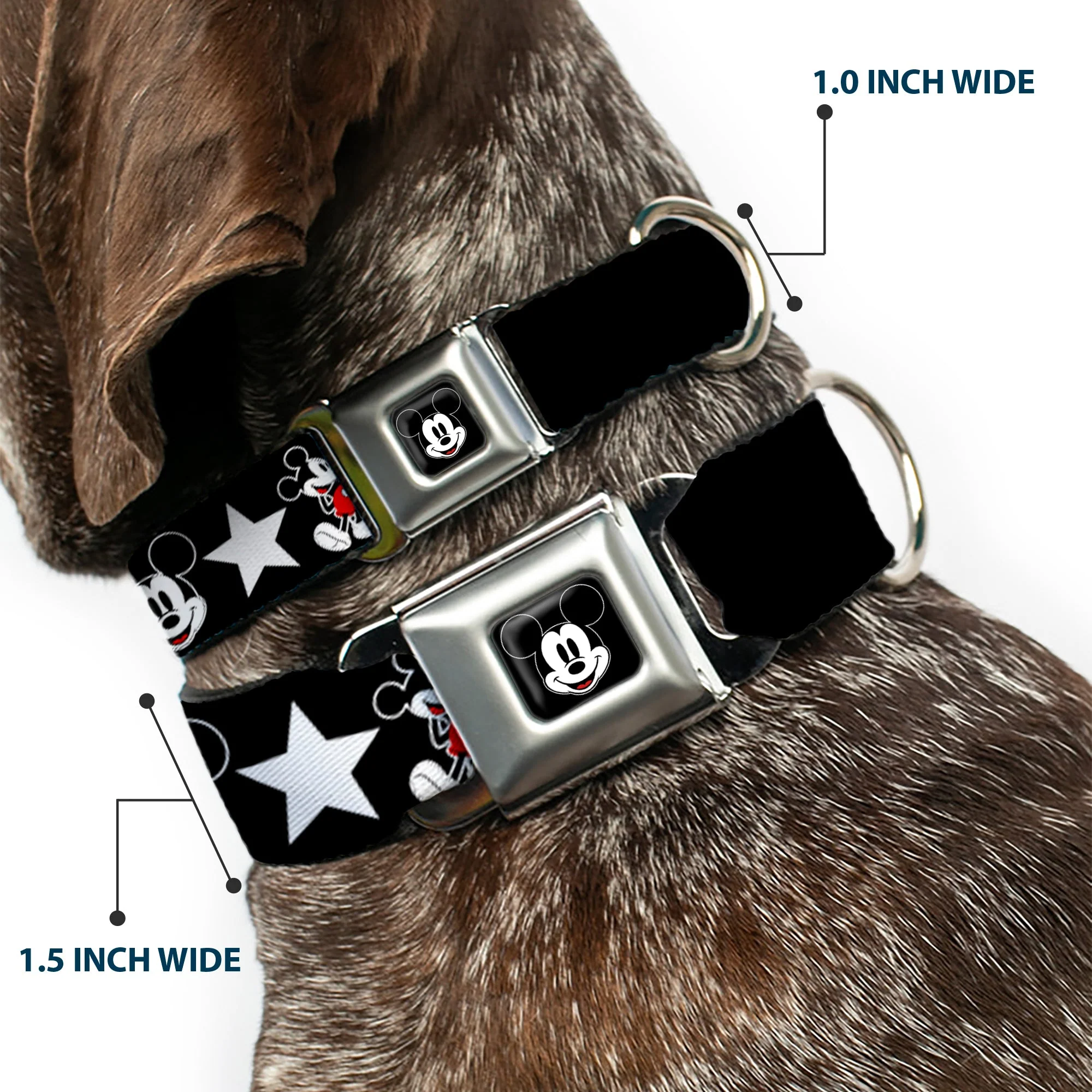 Mickey Mouse Face Full Color Black Seatbelt Buckle Collar - Classic Mickey Mouse 1928 Collage Black/White/Red - Image 2