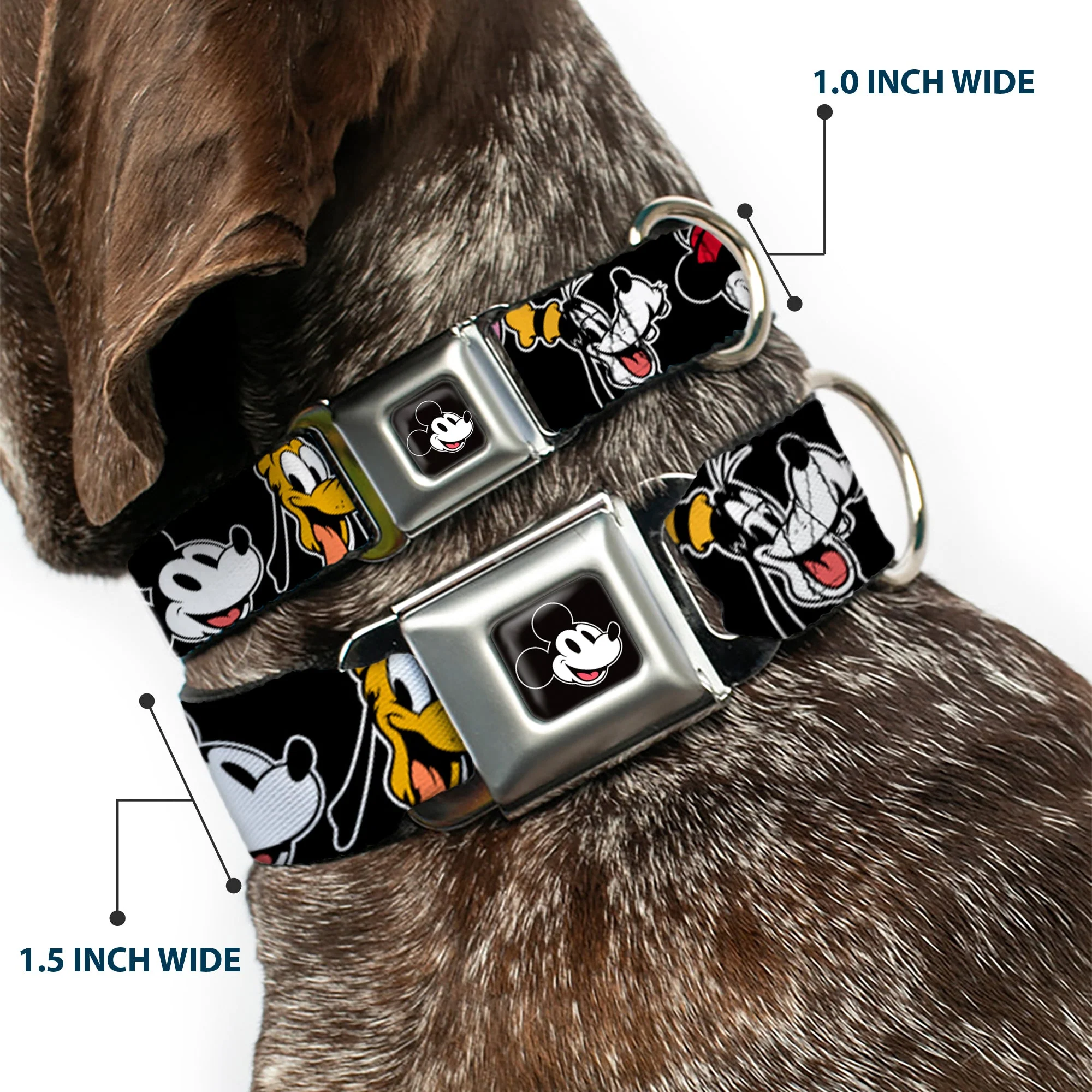 Mickey Mouse Smiling Face Full Color Black Seatbelt Buckle Collar - Disney The Sensational Six Smiling Faces Black - Image 2