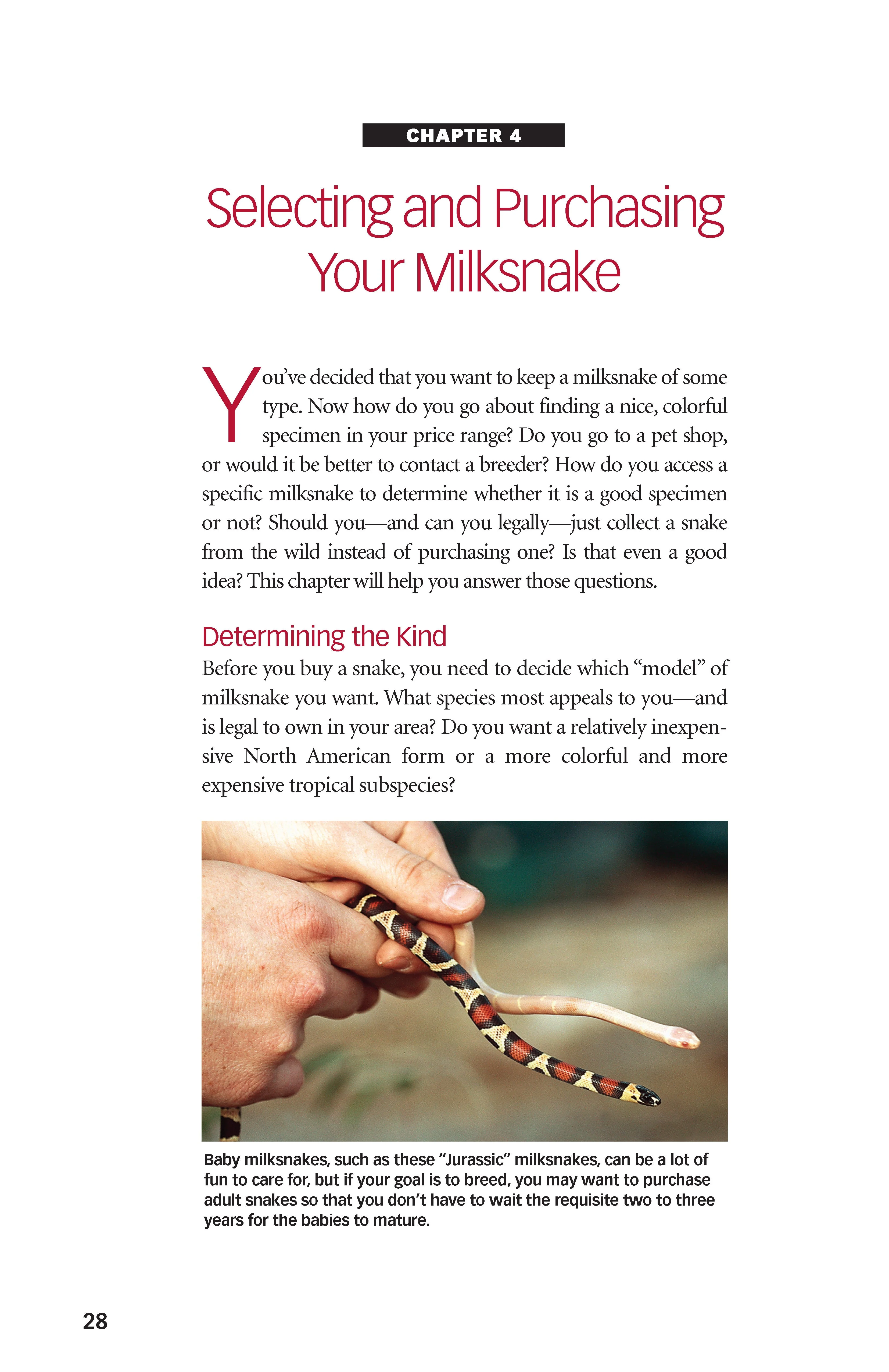 Milksnakes - Image 2