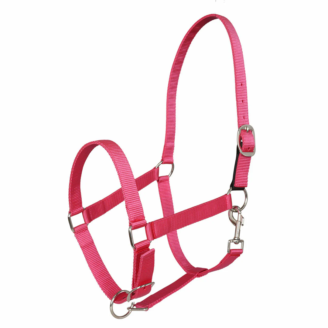 Millers Adjustable Nylon Halter with Snap and Breakaway Leather - Image 4
