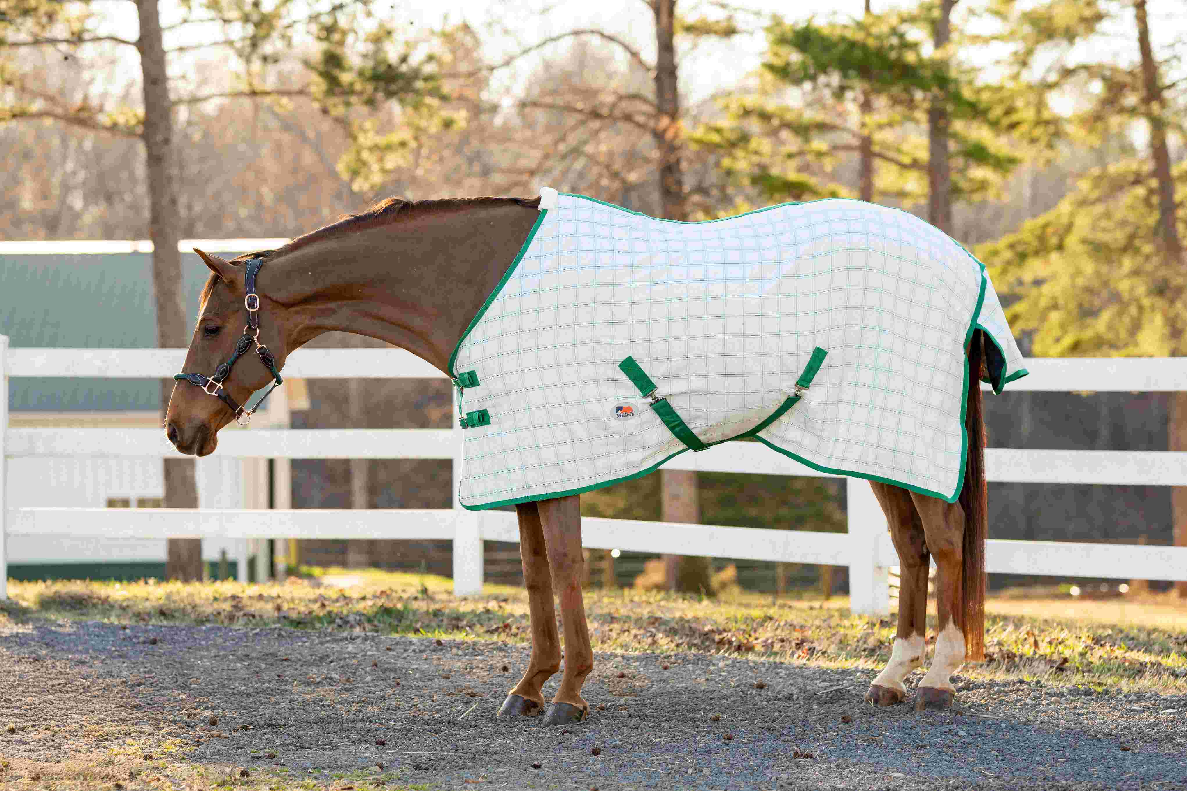 Millers Aussie Ripstop Stable Sheet - Image 7