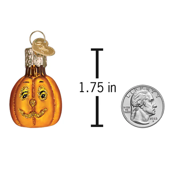 Mini Jack Olantern Ornament - Image 5