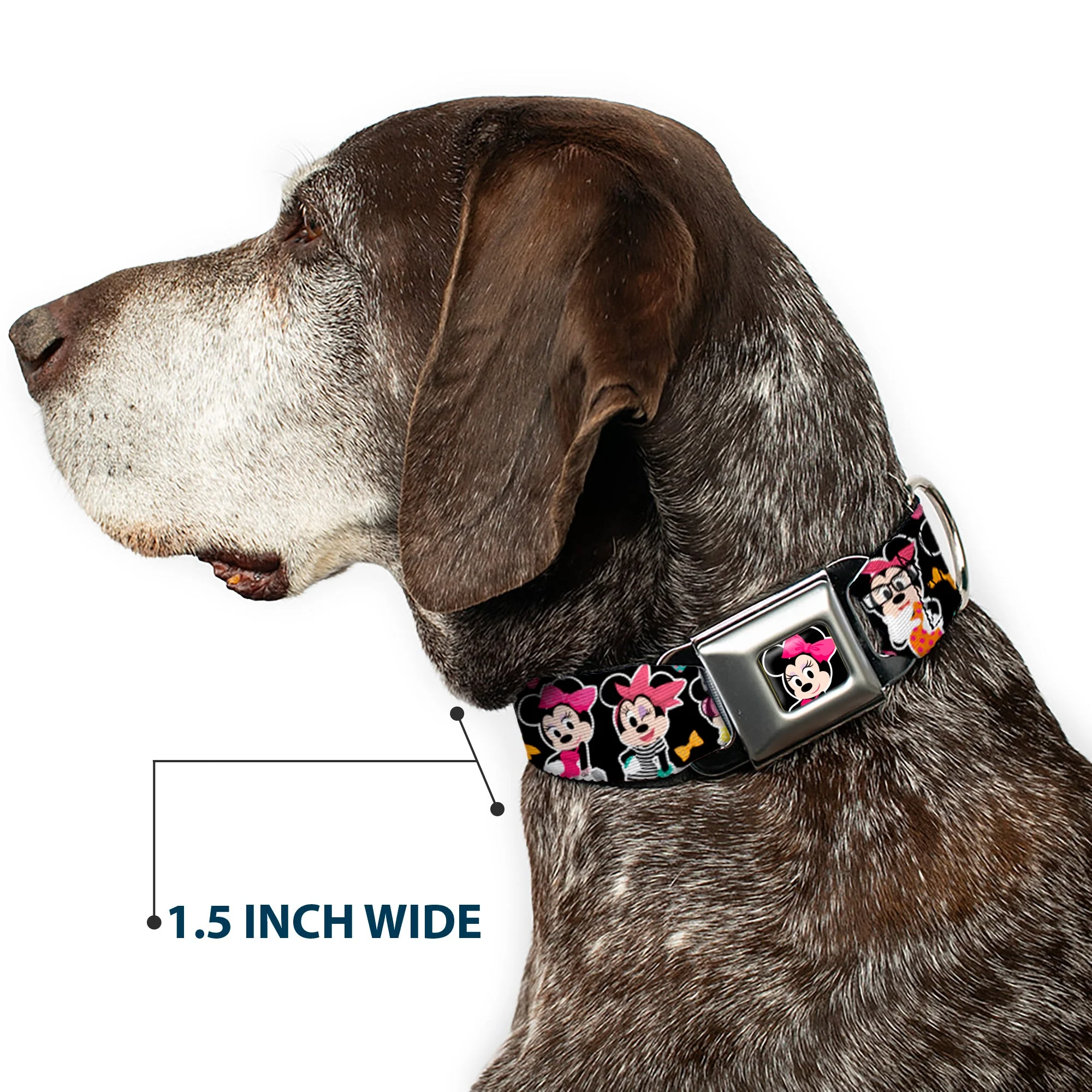 Mini Minnie Mouse Face CLOSE-UP Full Color Black Seatbelt Buckle Collar - Mini Minnie Expressions/Bows Black/Multi Color - Image 7