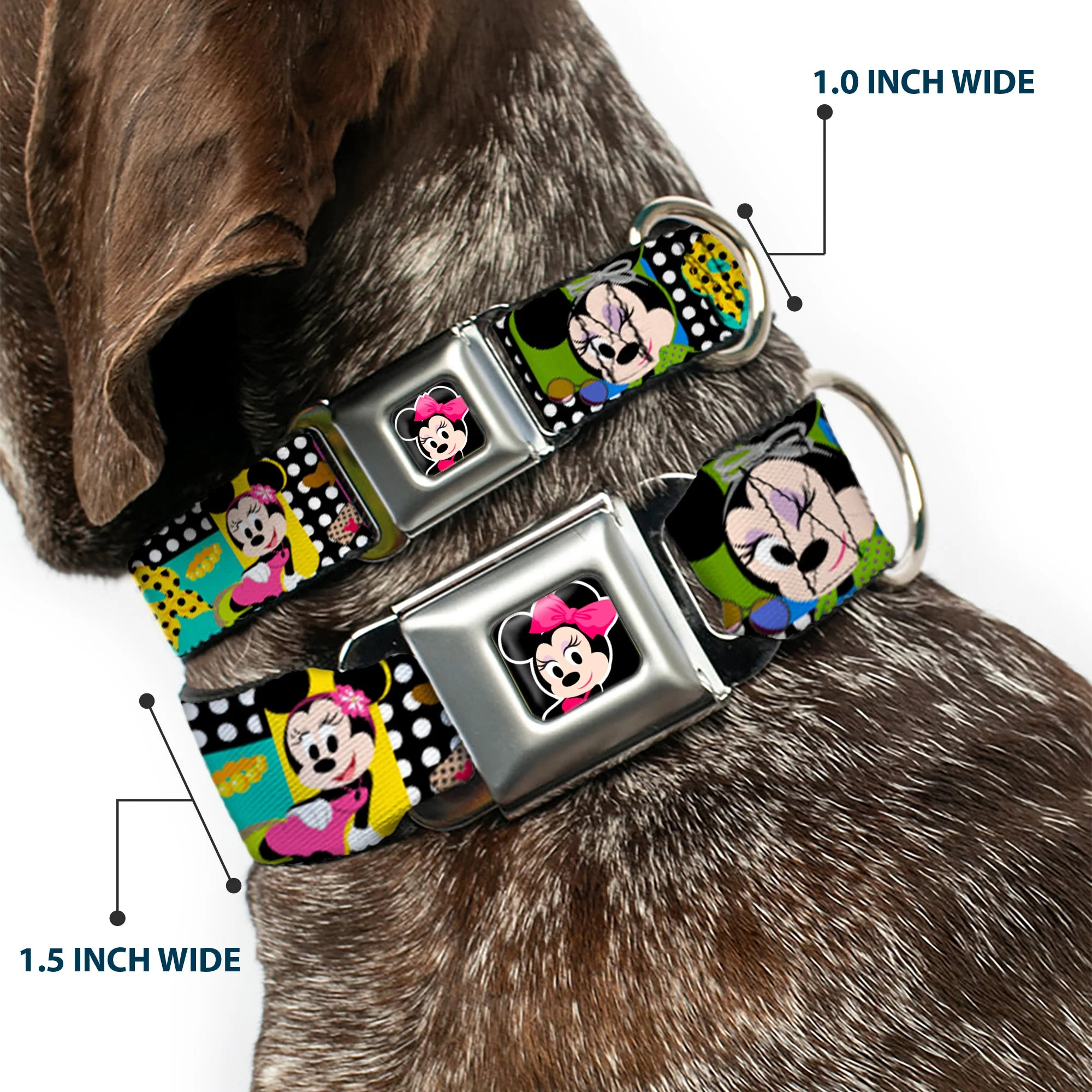 Mini Minnie Mouse Face CLOSE-UP Full Color Black Seatbelt Buckle Collar - Mini Minnie Fashion Poses/Polka Dot Black/White/Multi Color - Image 2