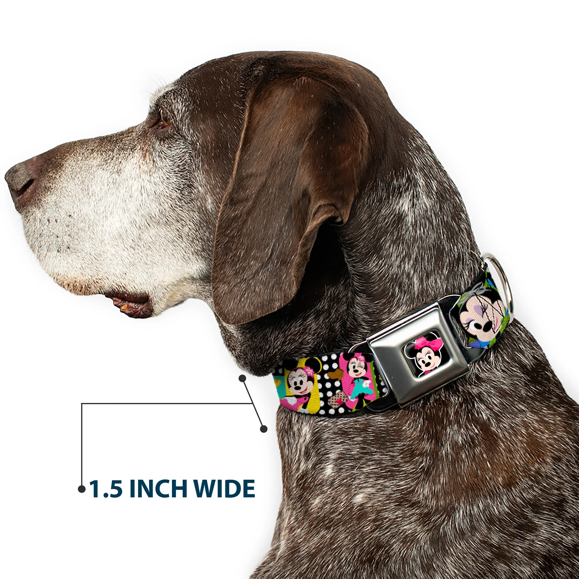 Mini Minnie Mouse Face CLOSE-UP Full Color Black Seatbelt Buckle Collar - Mini Minnie Fashion Poses/Polka Dot Black/White/Multi Color - Image 7
