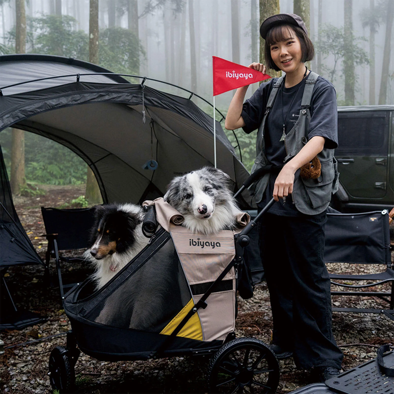 Minika 3-in-1 Pet Stroller System Foldable Dog Bicycle Trailer & Soft Crate Kennel - Image 3