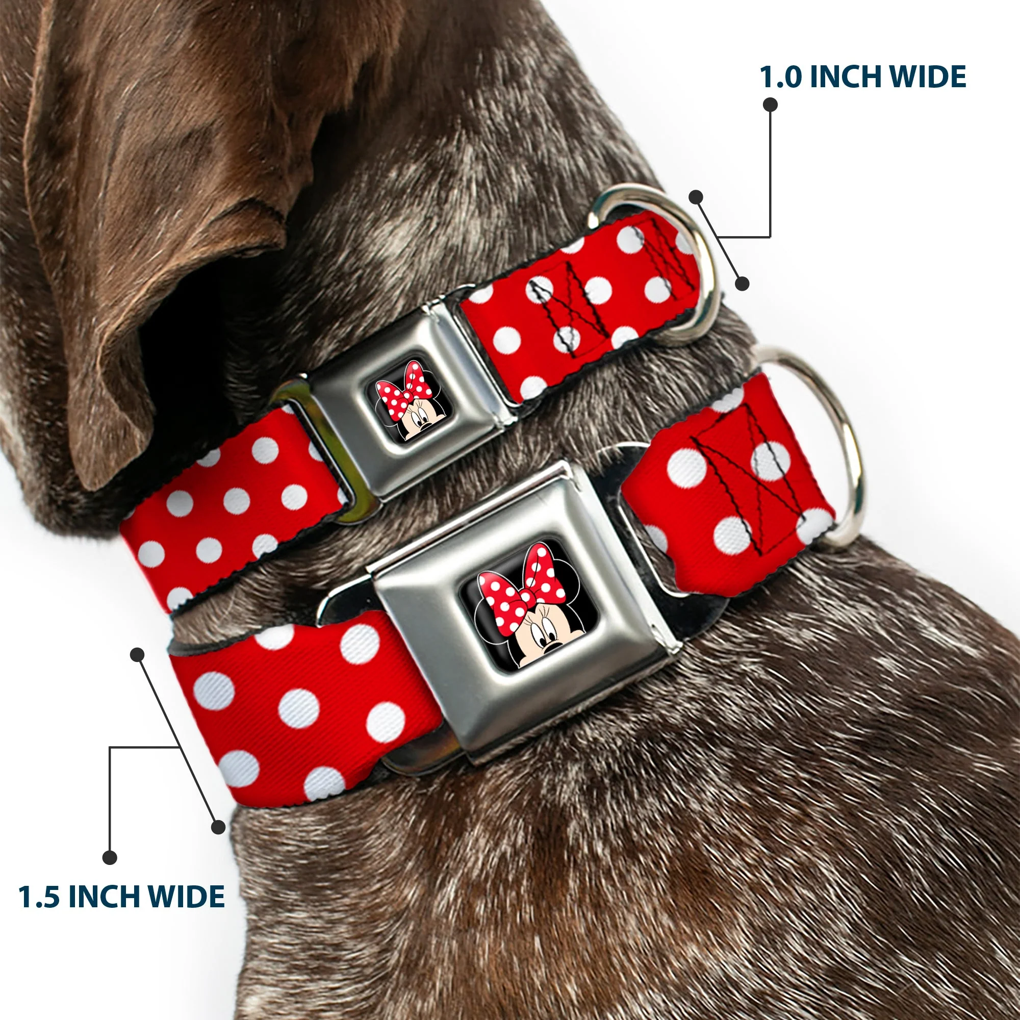 Minnie Mouse w Bow CLOSE-UP Full Color Black Red White Seatbelt Buckle Collar - Minnie Mouse Polka Dots Red/White - Image 2