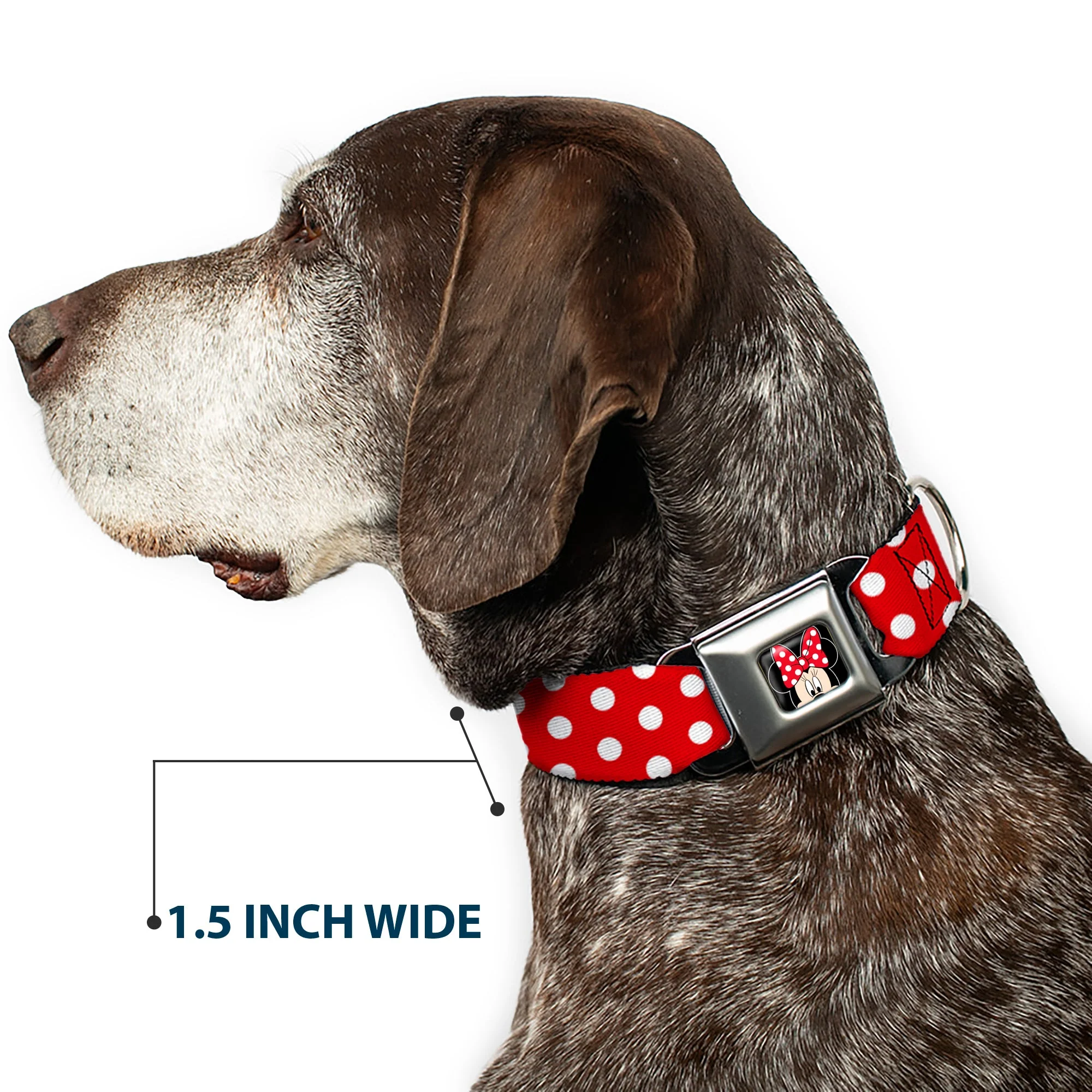 Minnie Mouse w Bow CLOSE-UP Full Color Black Red White Seatbelt Buckle Collar - Minnie Mouse Polka Dots Red/White - Image 7