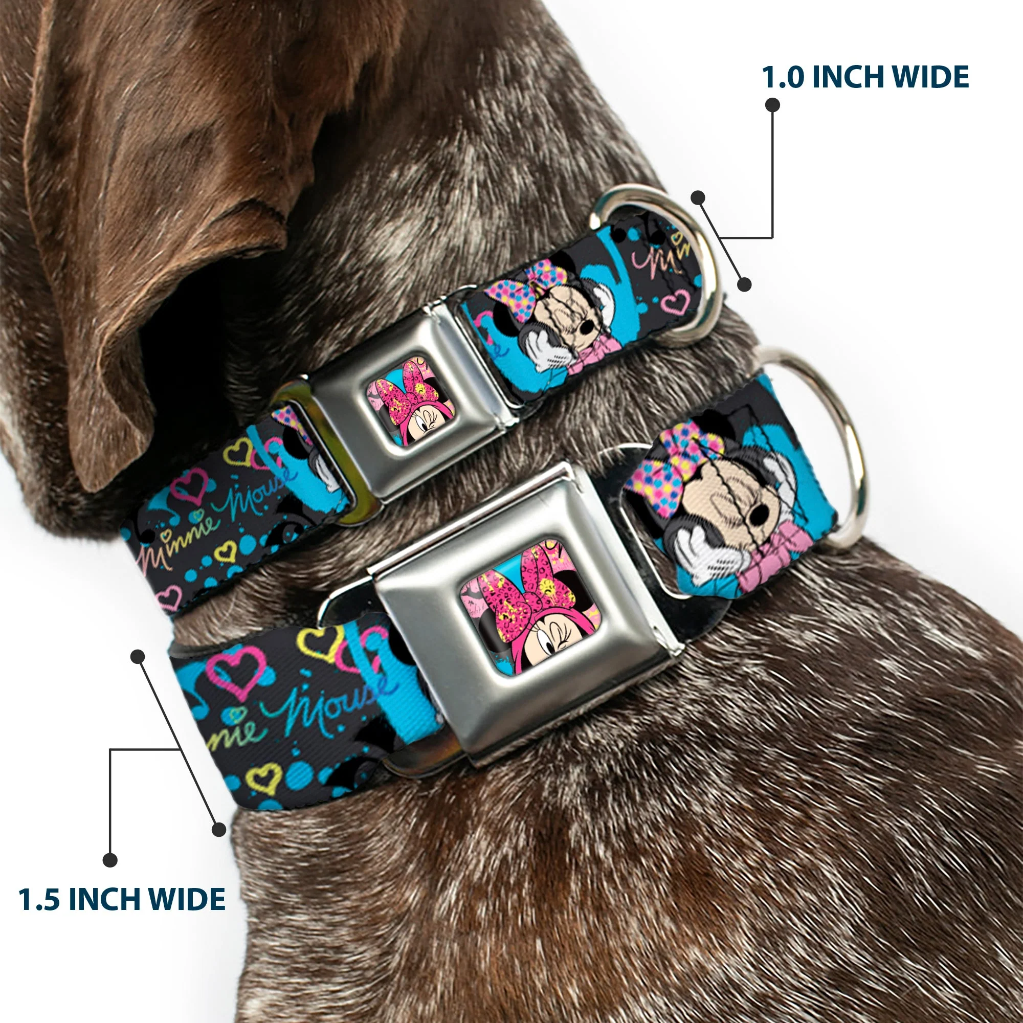 Minnie Mouse Winking CLOSE-UP Full Color Multi Color Seatbelt Buckle Collar - Minnie Mouse Hoody & Headphone Poses Gray/Multi Color - Image 2