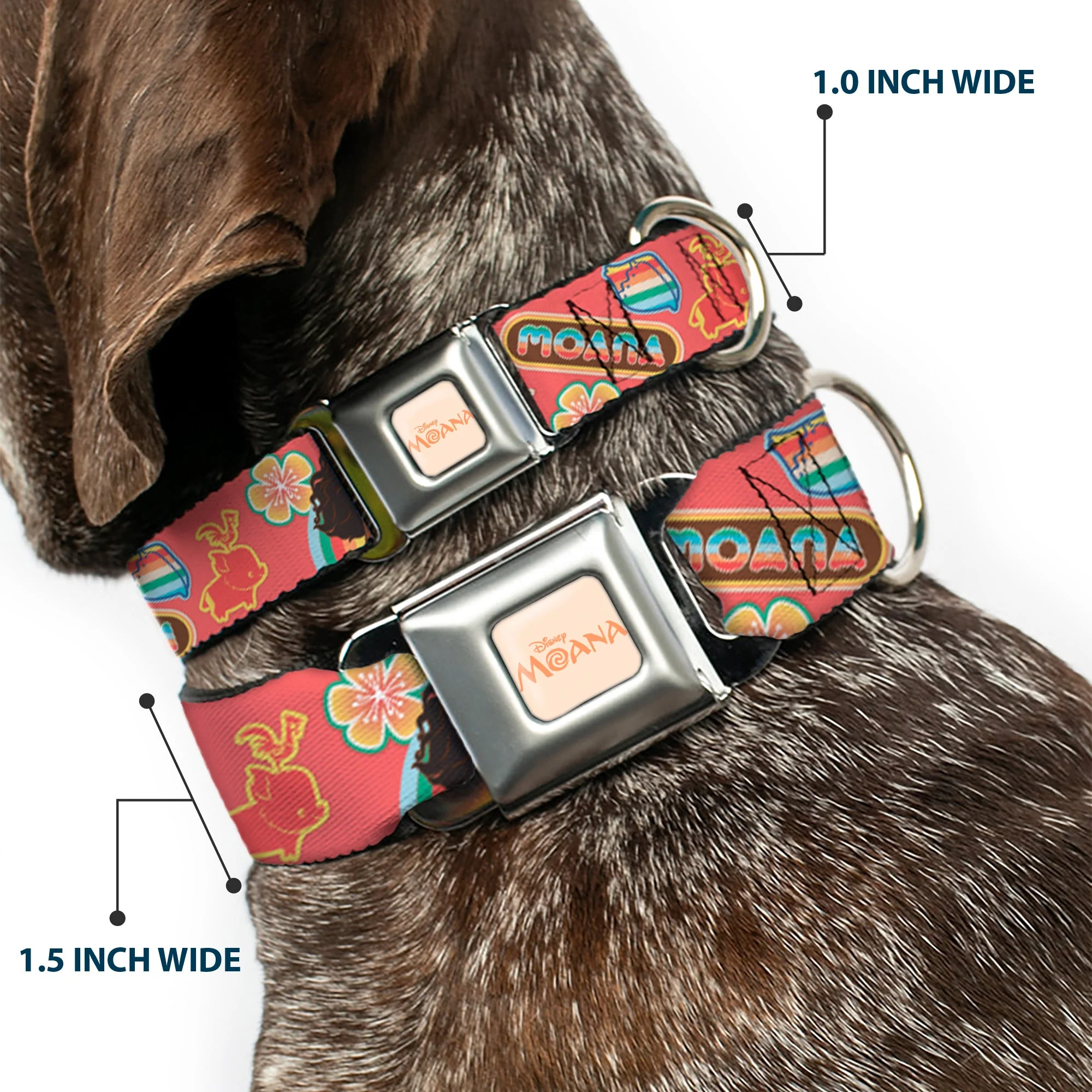MOANA Title Logo Full Color Beige/Coral Seatbelt Buckle Collar - Moana Pose and Icons Collage Pink - Image 2