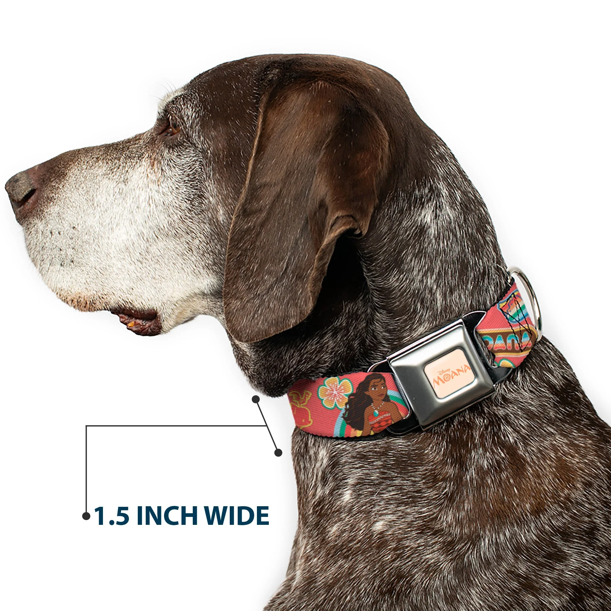 MOANA Title Logo Full Color Beige/Coral Seatbelt Buckle Collar - Moana Pose and Icons Collage Pink - Image 7