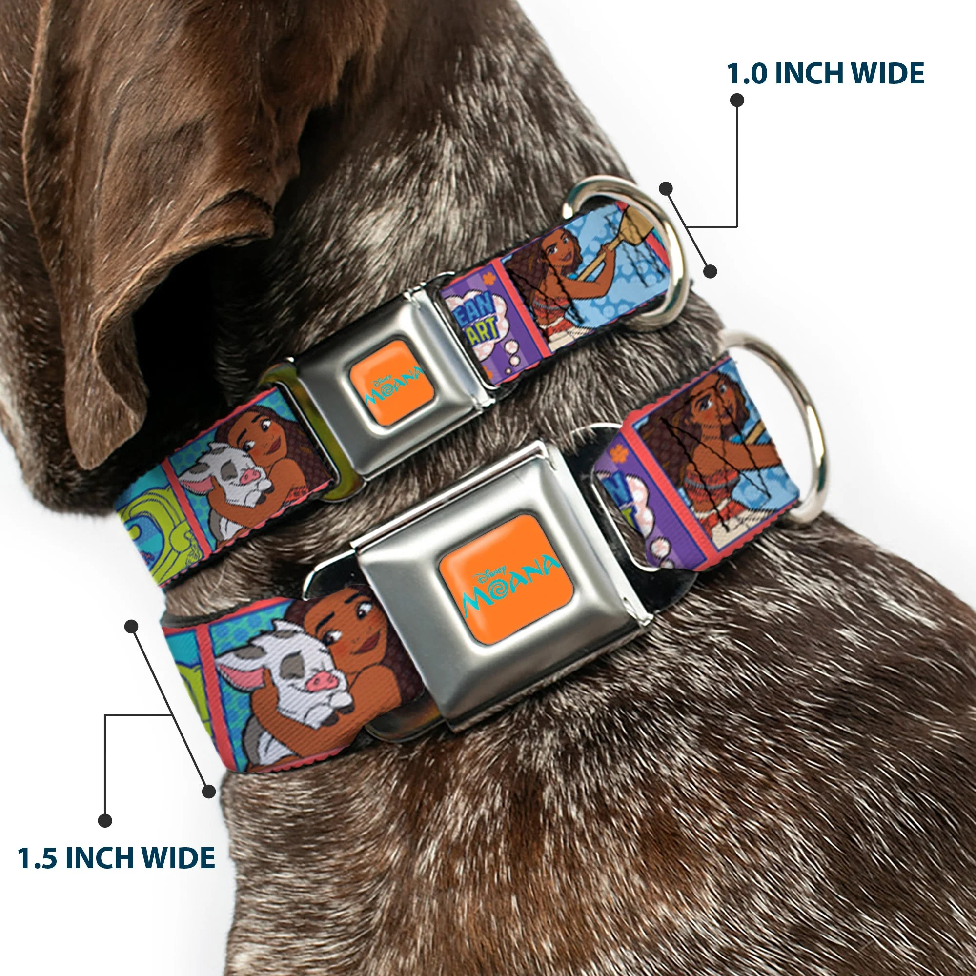 MOANA Title Logo Full Color Orange/Blue Seatbelt Buckle Collar - Moana MAKE WAVES Scene Blocks Blues/Orange - Image 2