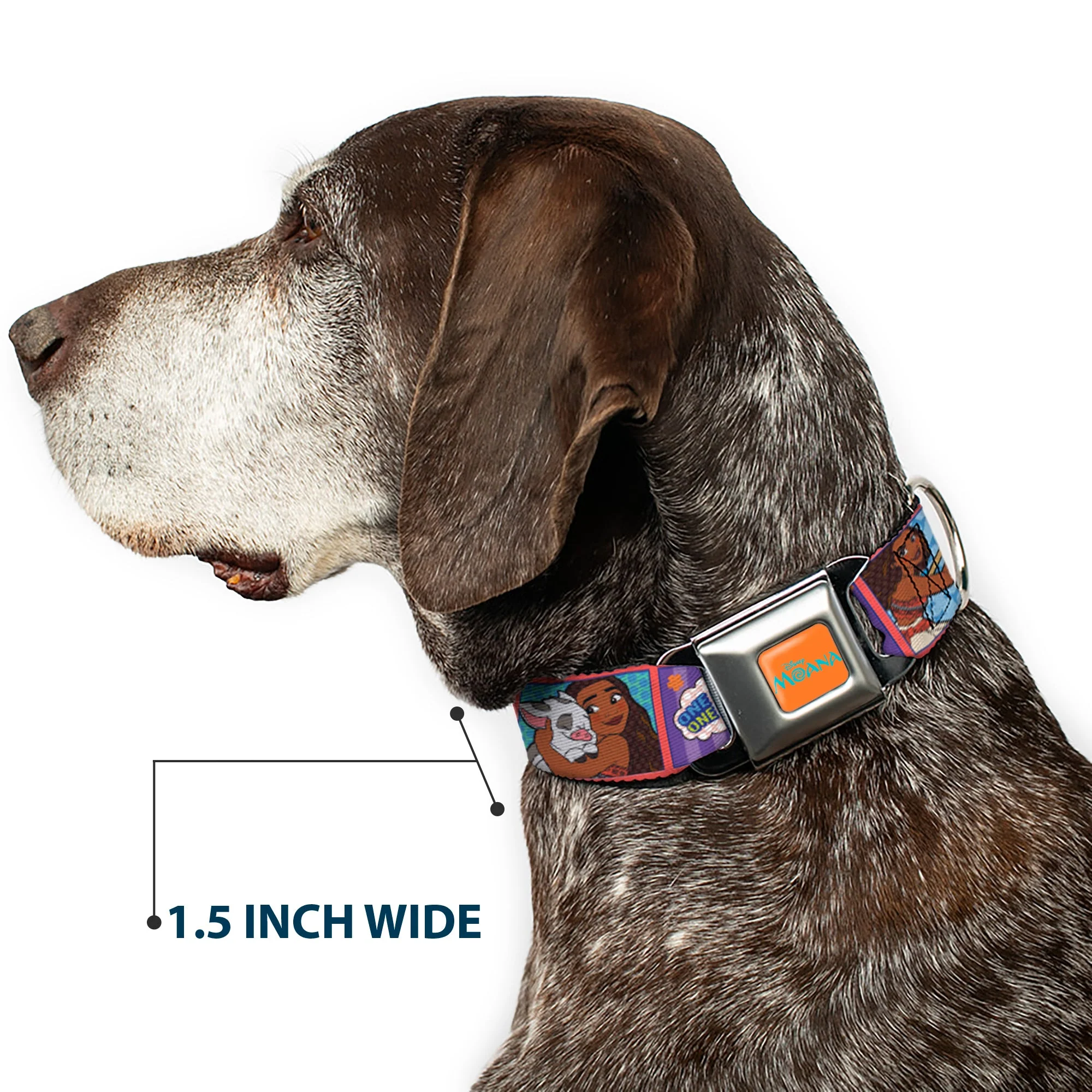 MOANA Title Logo Full Color Orange/Blue Seatbelt Buckle Collar - Moana MAKE WAVES Scene Blocks Blues/Orange - Image 7