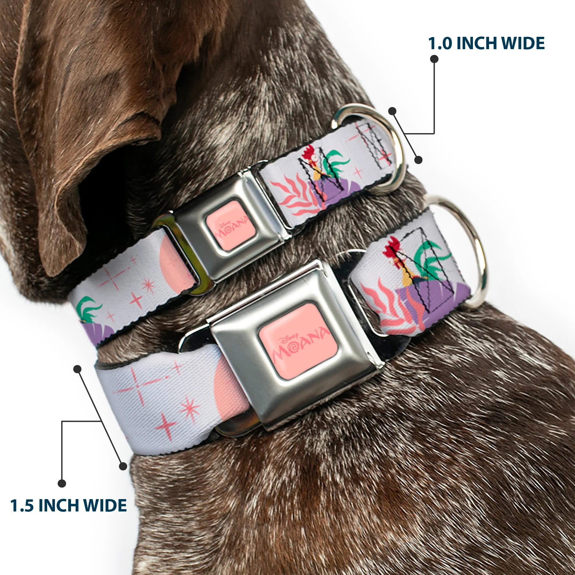 MOANA Title Logo Full Color Pinks Seatbelt Buckle Collar - Moana and Hei Hei Poses with Flowers Beige/Orange - Image 2
