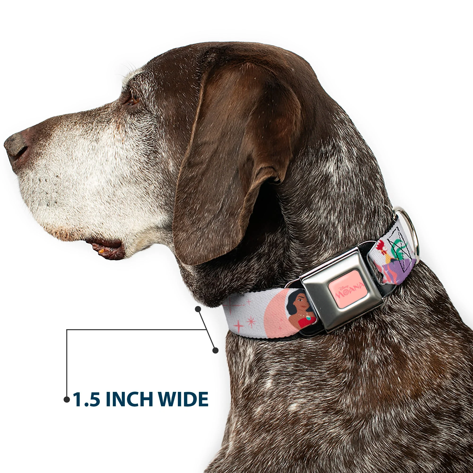 MOANA Title Logo Full Color Pinks Seatbelt Buckle Collar - Moana and Hei Hei Poses with Flowers Beige/Orange - Image 7