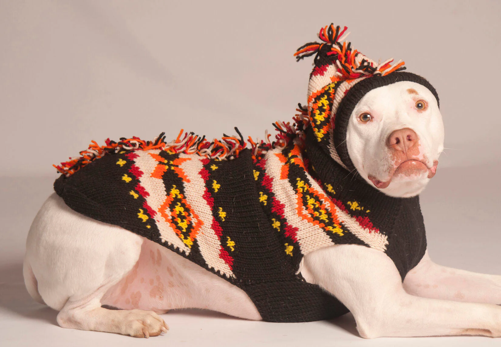 Mohawk Dog Sweater XS - Image 4